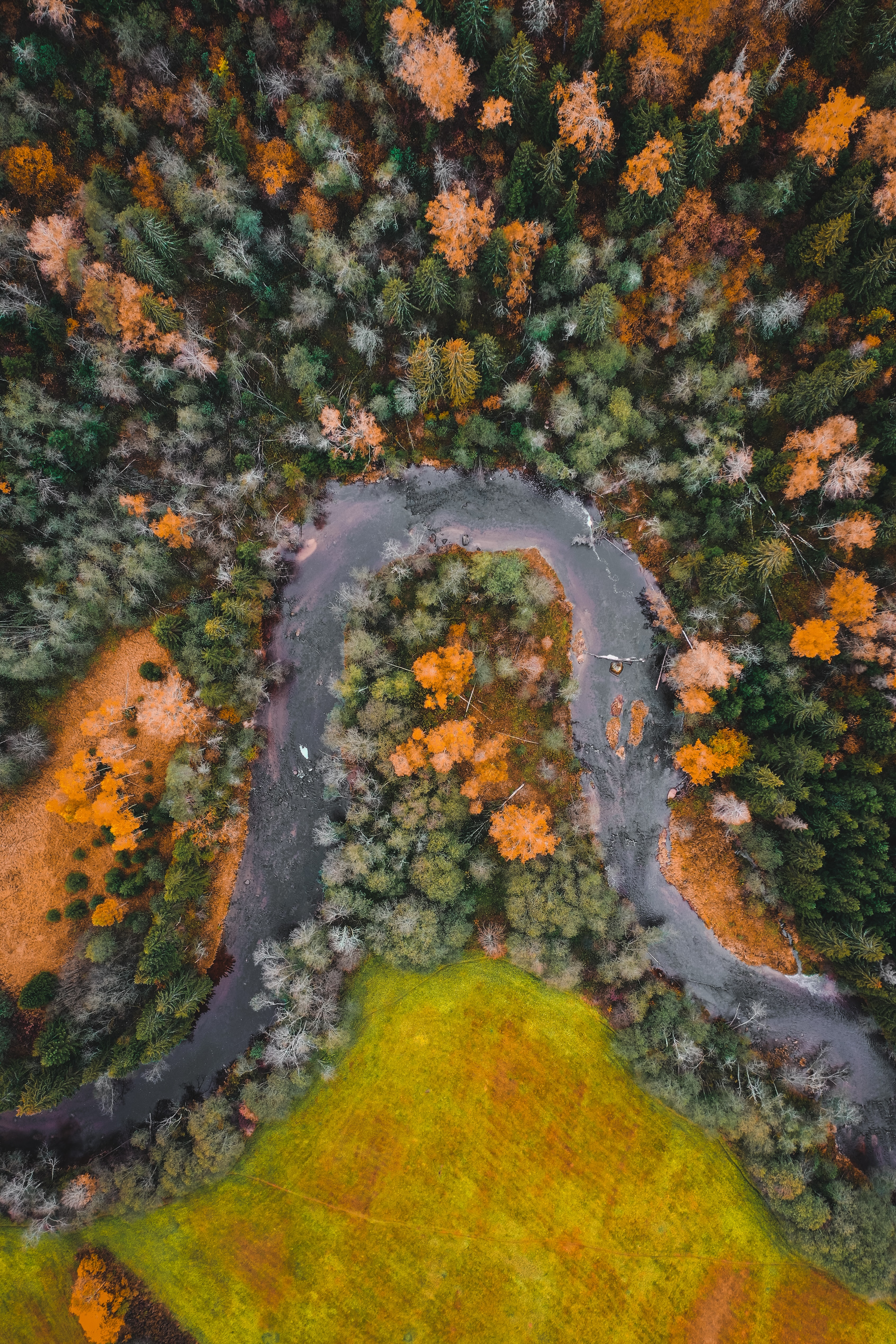 Download mobile wallpaper Forest, View From Above, Rivers, Nature, Autumn for free.