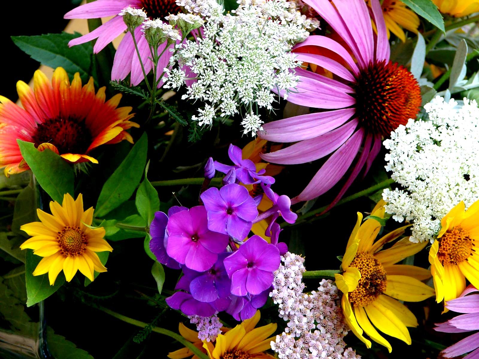 Заставка букет цветов. Яркие цветы. Летние цветы. Красивые цветы. Красивые яркие цветы.