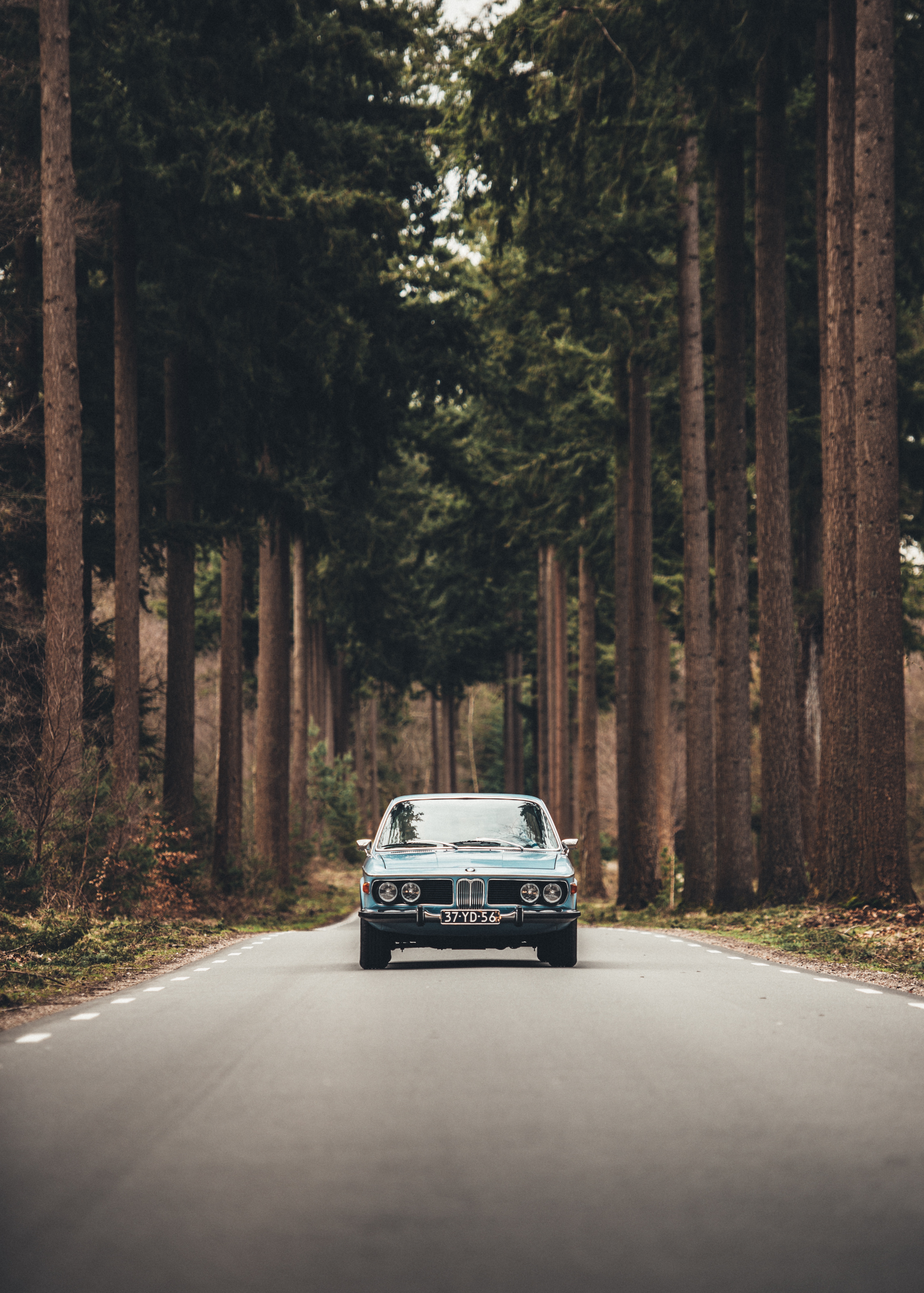 Download mobile wallpaper Trees, Road, Auto, Cars, Front View for free.