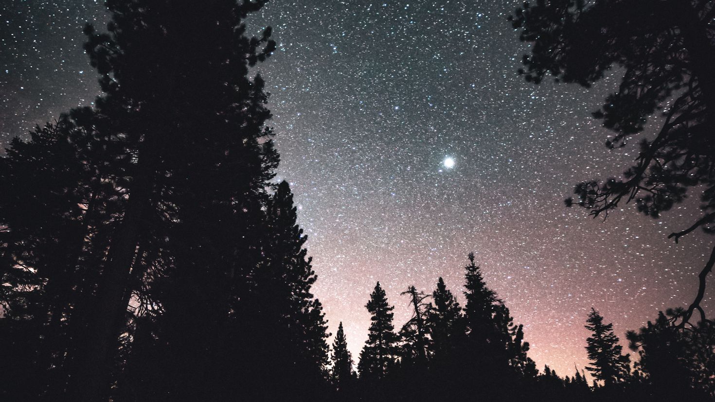 Лес Эстетика звезды. Ночь лес дорога звезды. Лес на фоне ночного неба. Ночь обложка. Quite night