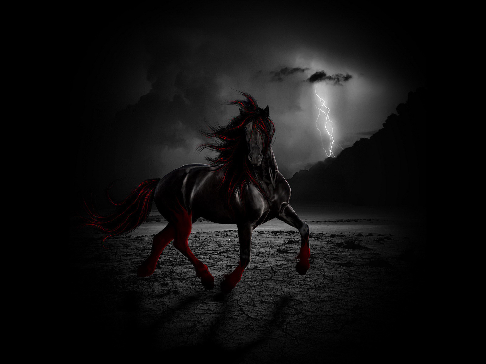 horses, animals, pictures, black wallpapers for tablet