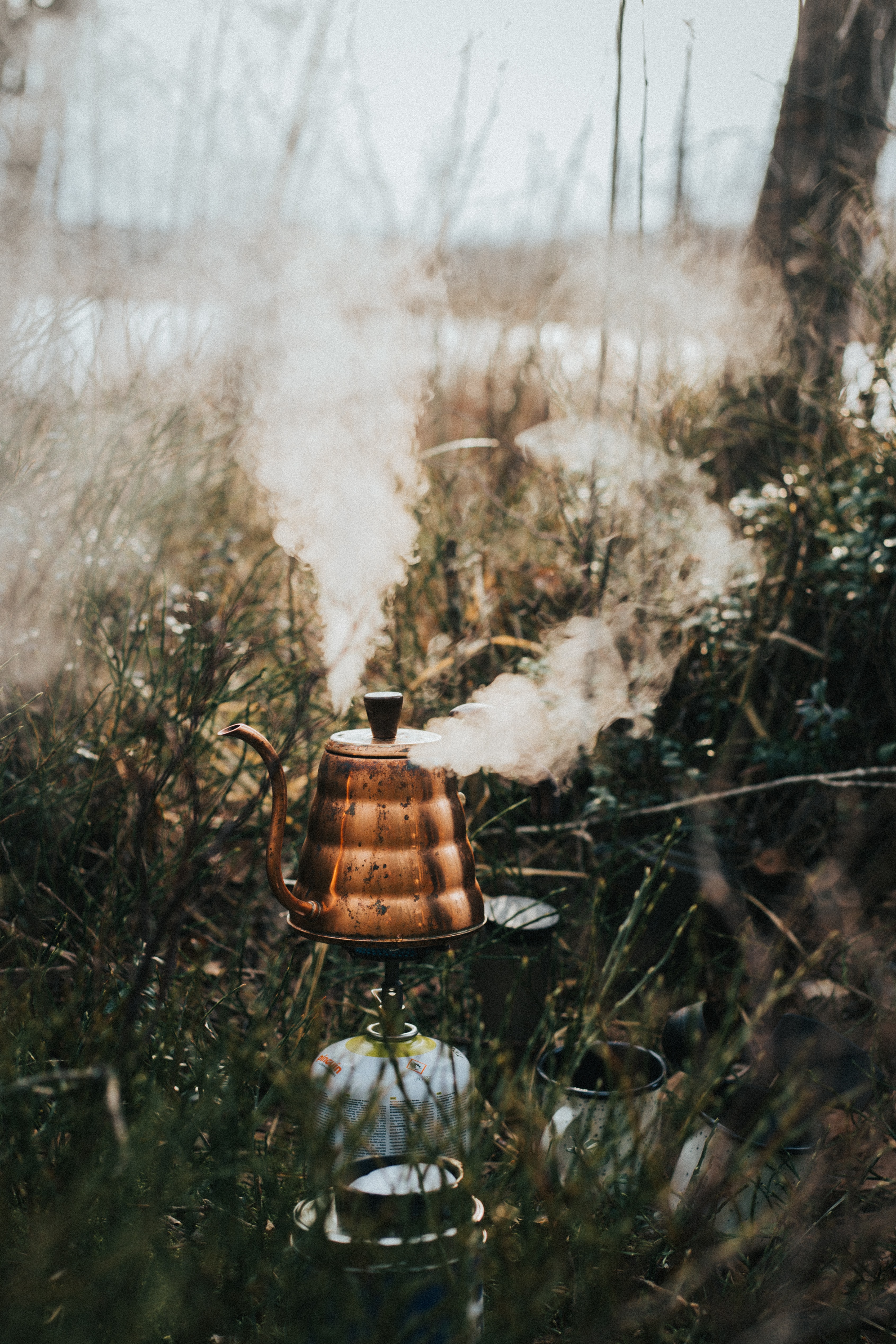 Download mobile wallpaper Hike, Steam, Kettle, Grass, Teapot, Campaign, Nature for free.