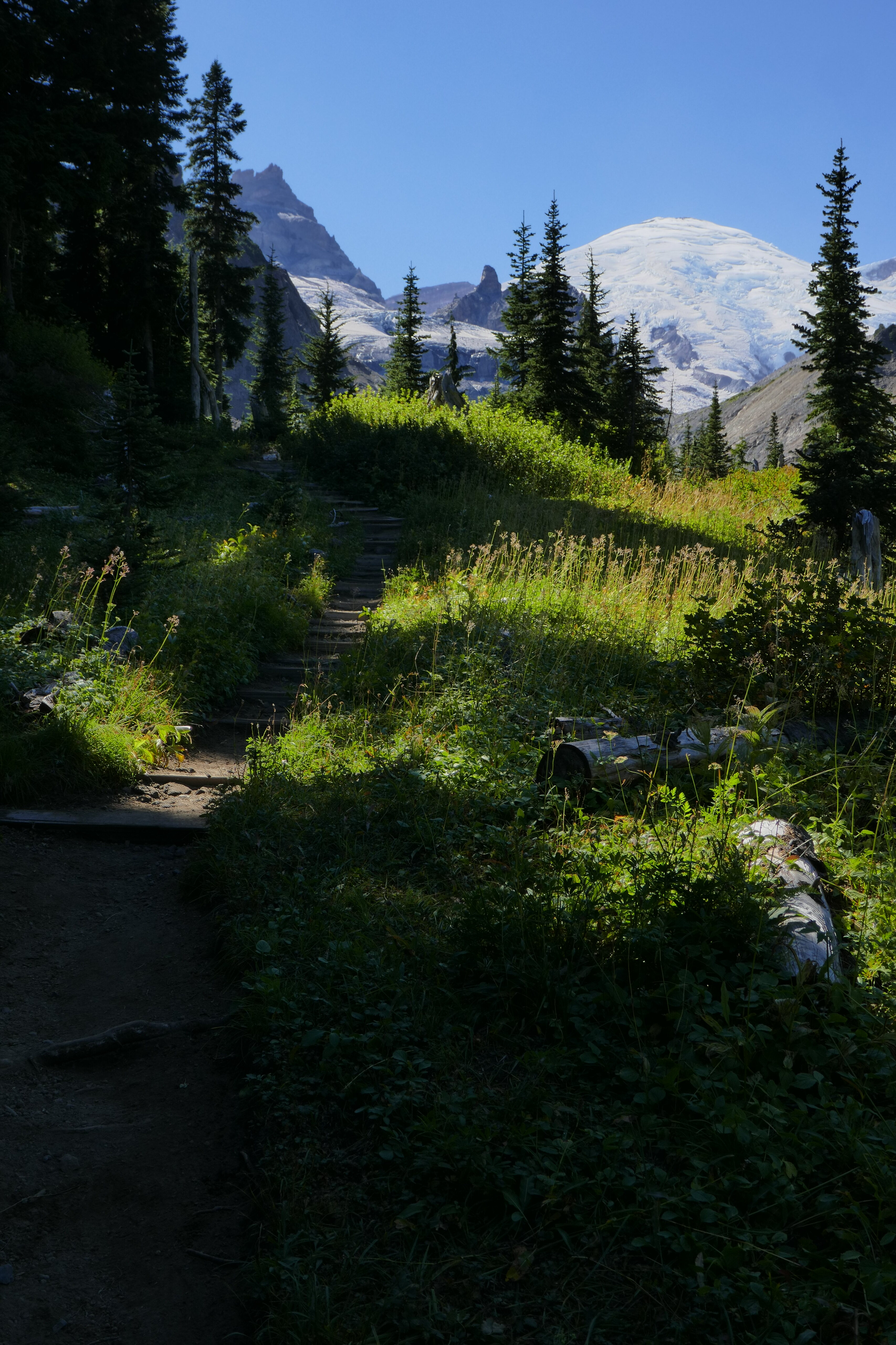 path, nature, trees, grass, mountains Full HD
