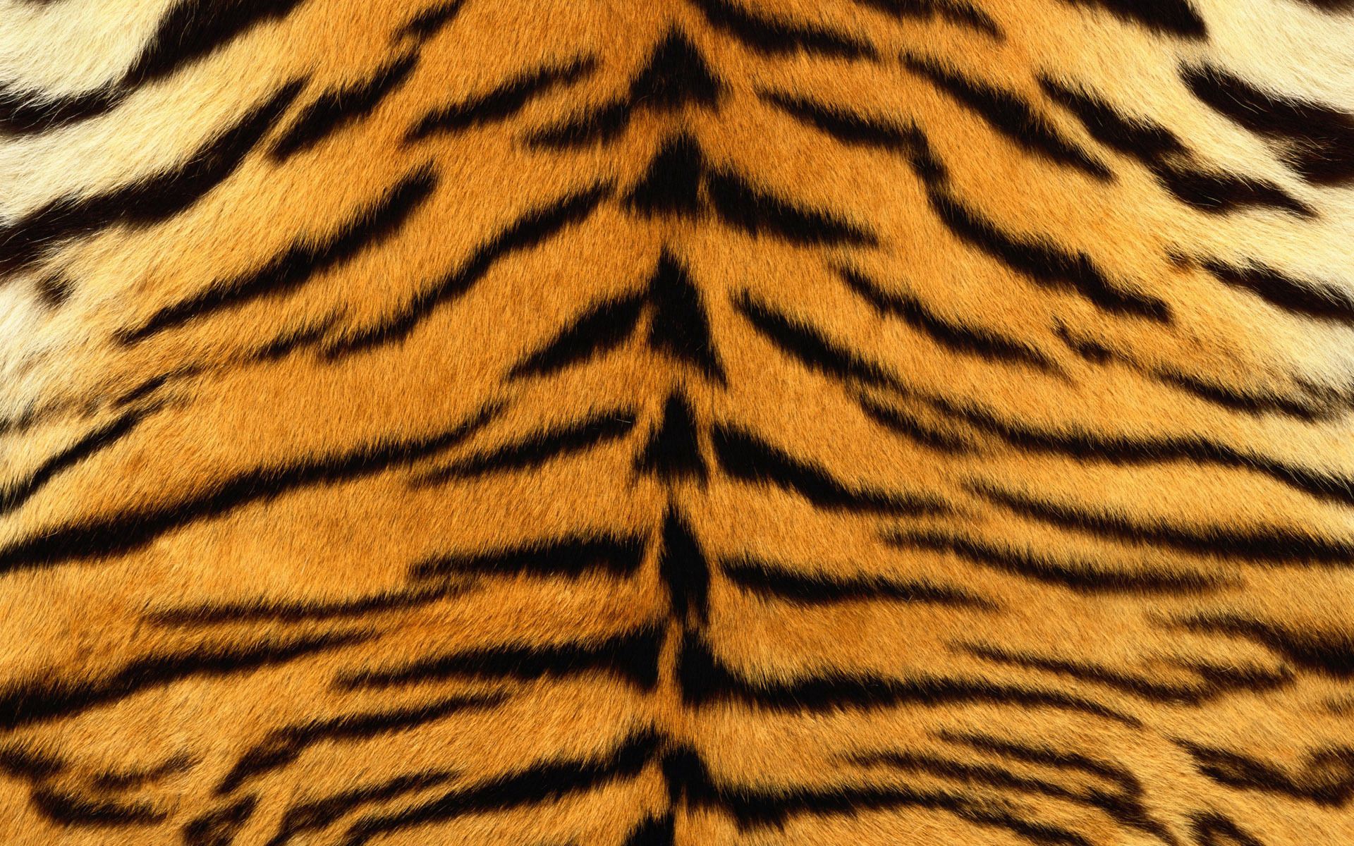 skin, textures, stripes, texture, striped, tiger, fur, strips