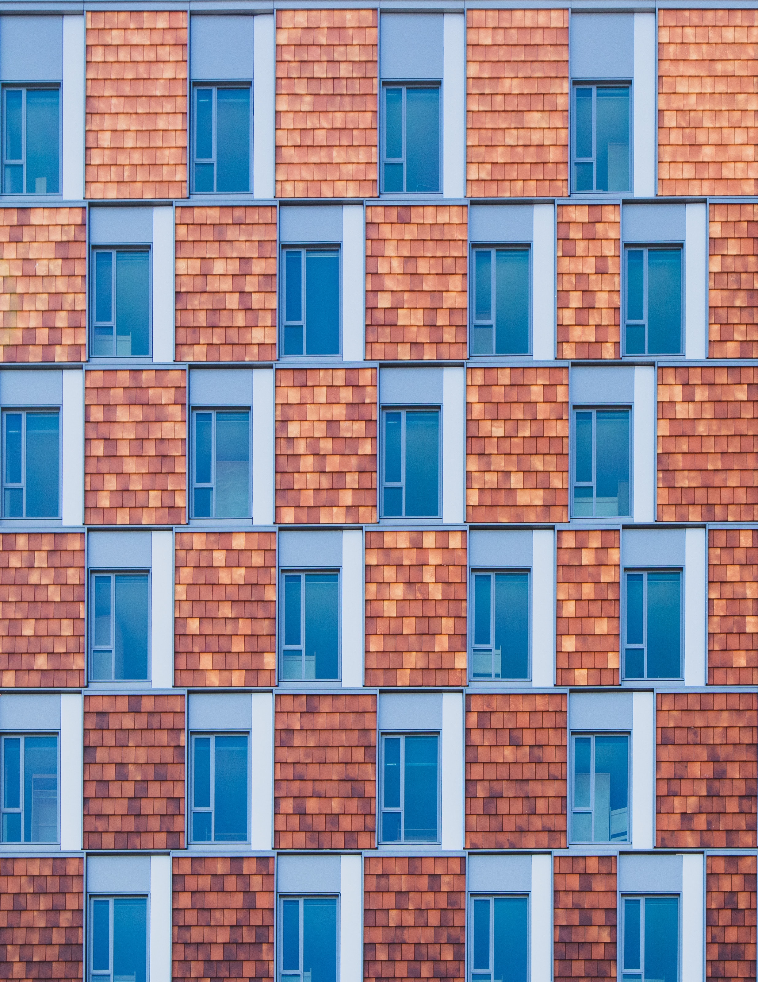 tile, building, miscellanea, miscellaneous, window, facade, shingles 4K Ultra