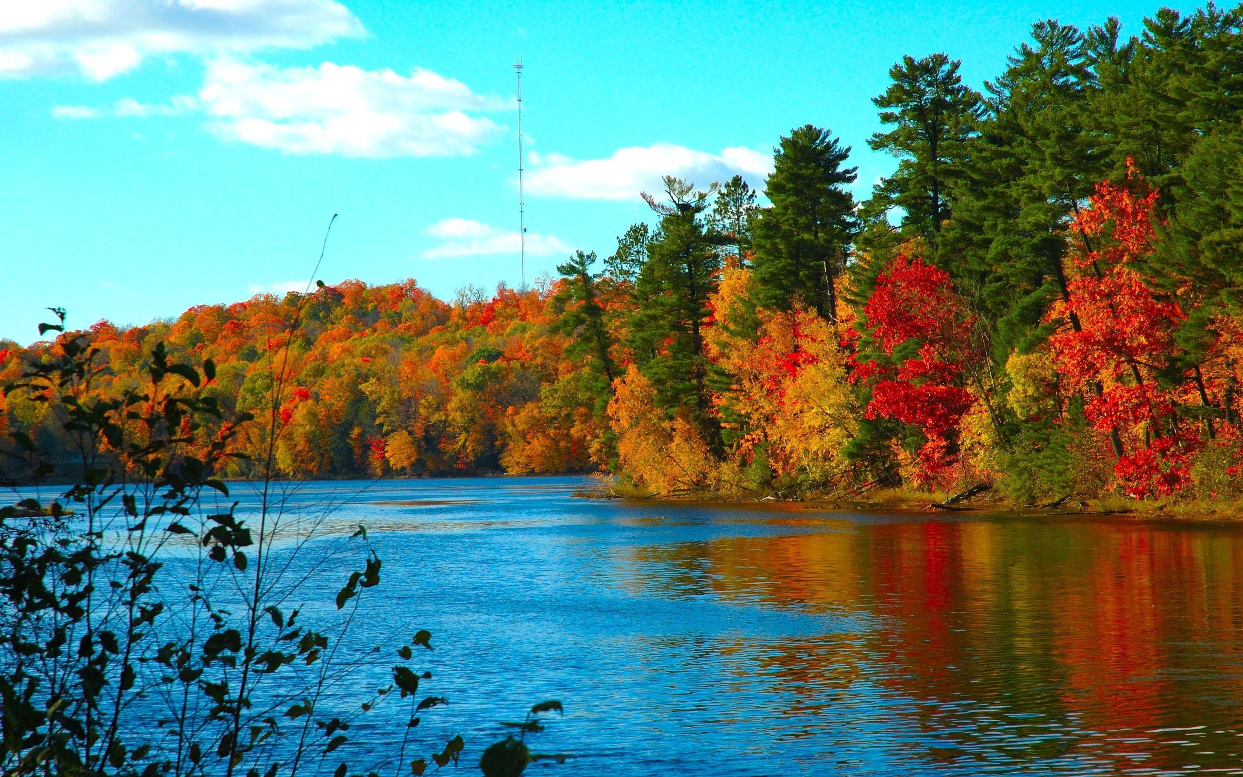 145853 завантажити картинку осінь, природа, річка, дерева, течія, текти - шпалери і заставки безкоштовно