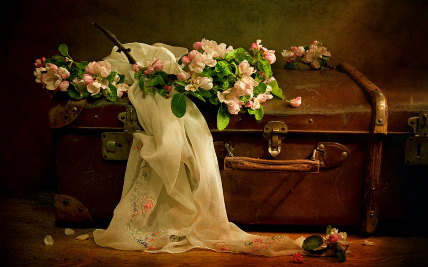 photography, still life, flower, scarf, suitcase, vintage