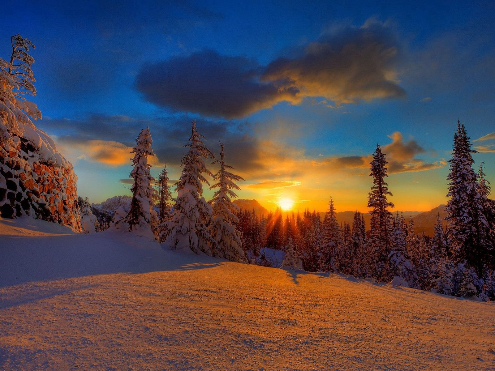 sun, ate, nature, trees, sunset, snow, shadow, evening HD wallpaper