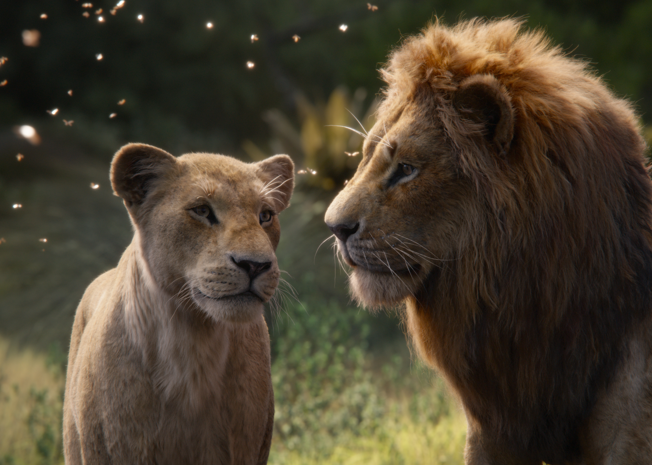 The lion king on sale 2019 full movie download