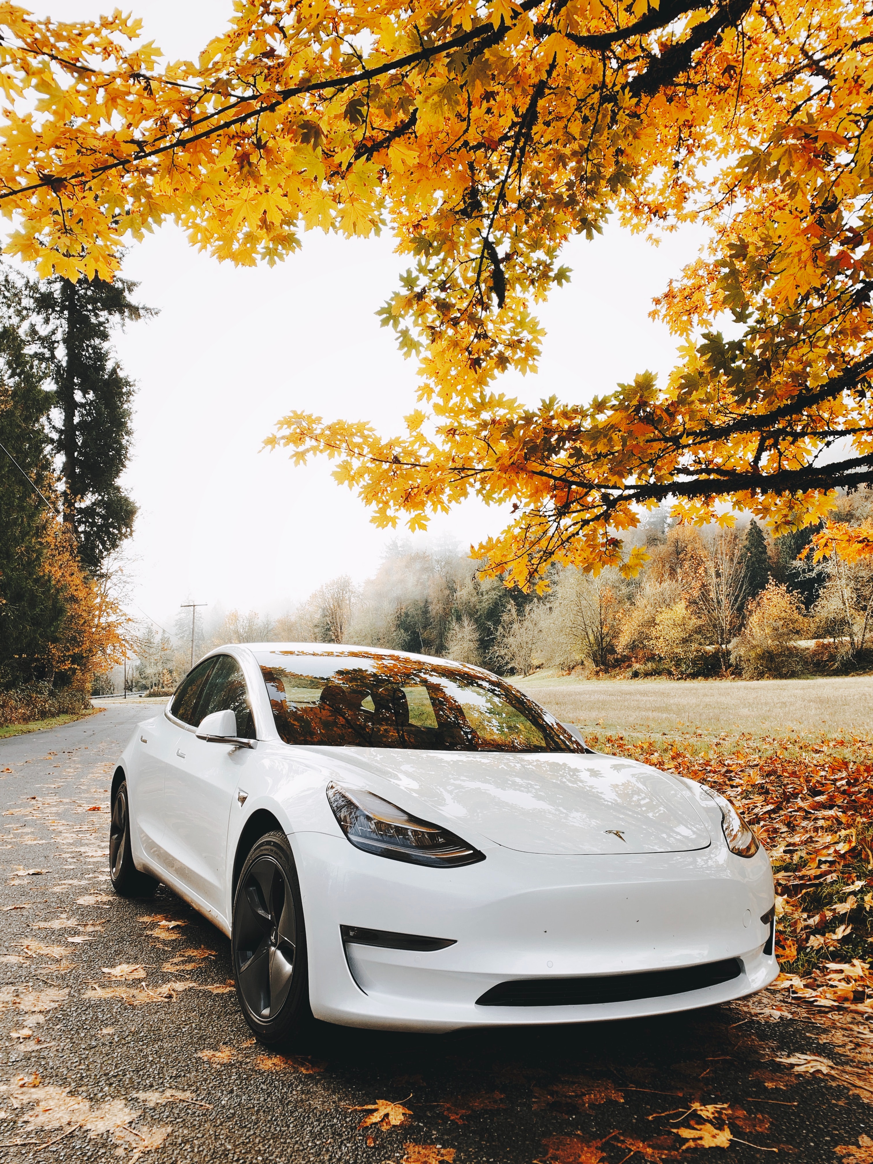 Download mobile wallpaper Machine, Sports, Car, Cars, Autumn, Sports Car for free.