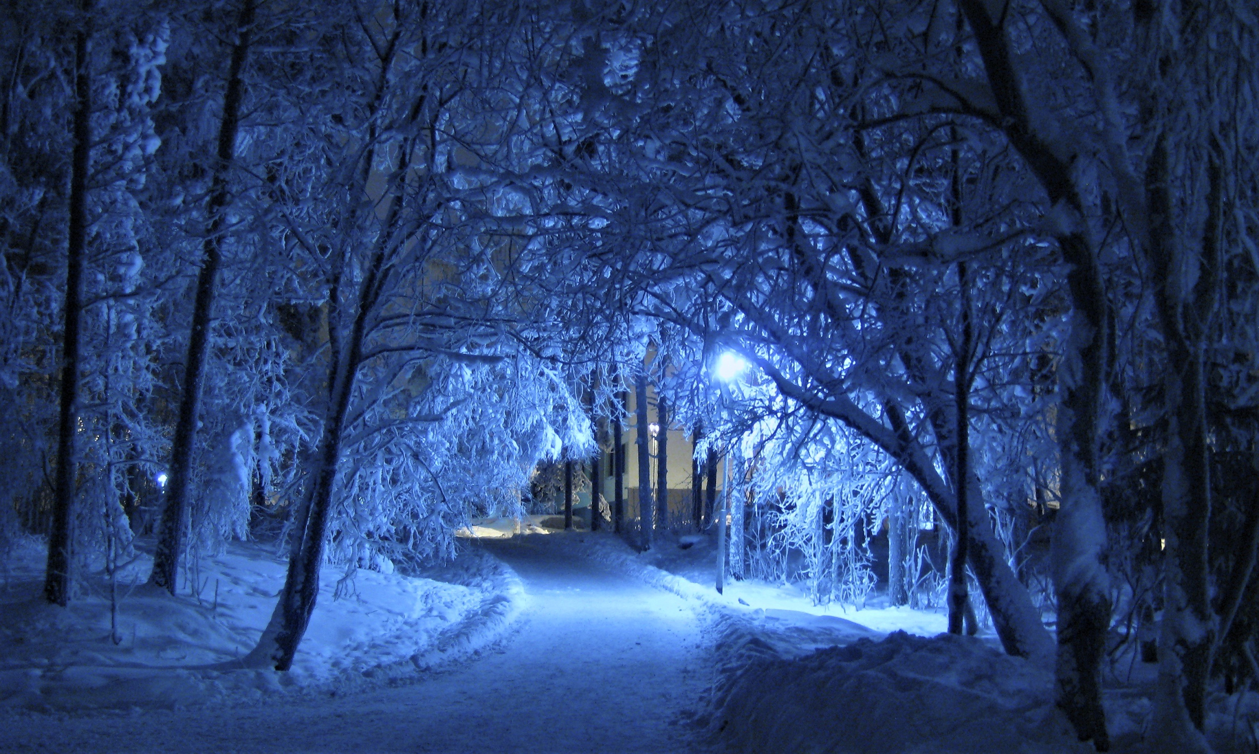Скачать картинку Зима, Ночь, Снег, Дорога, Дерево, Фотографии в телефон бесплатно.