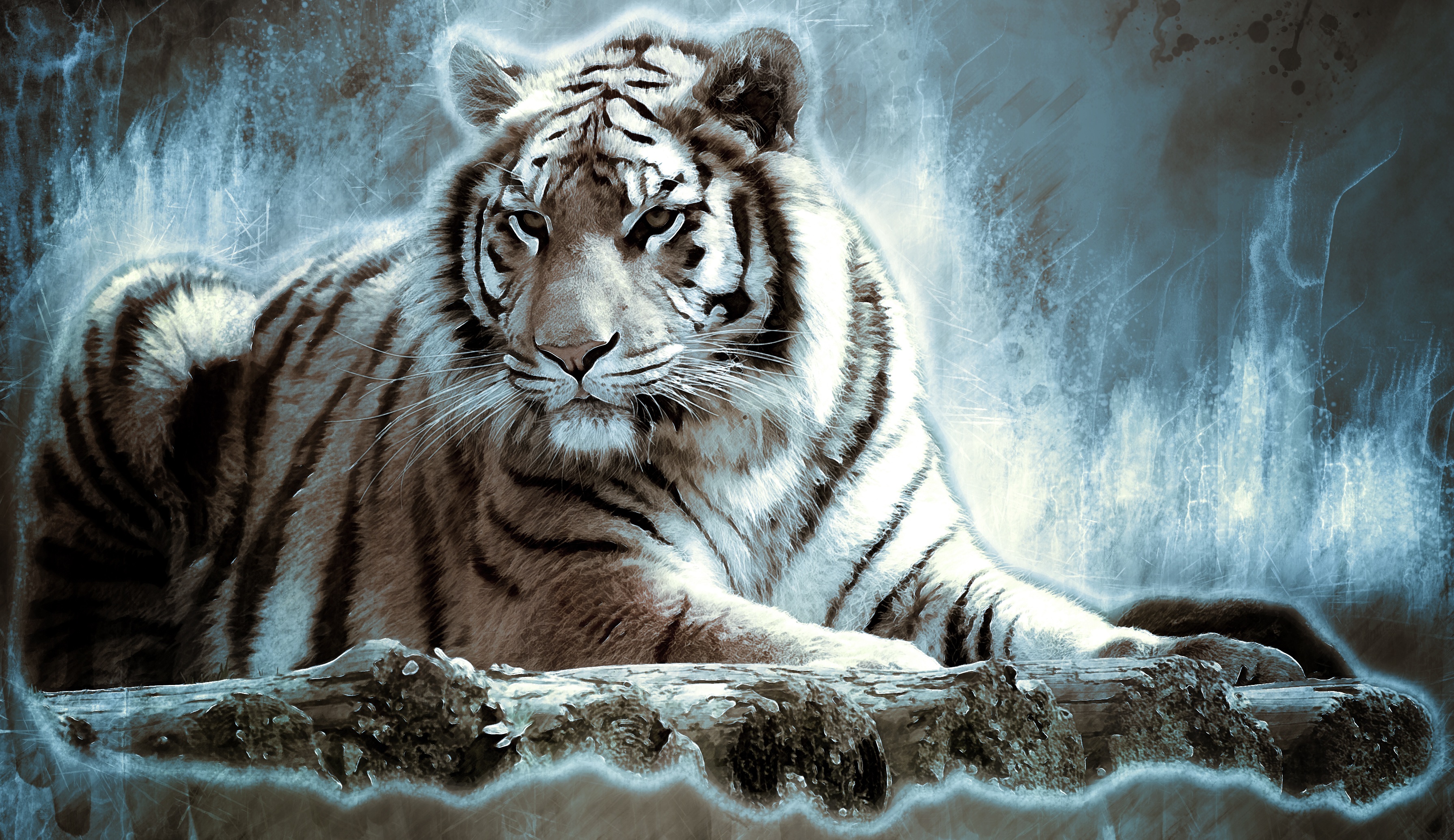 Белый тигр картина