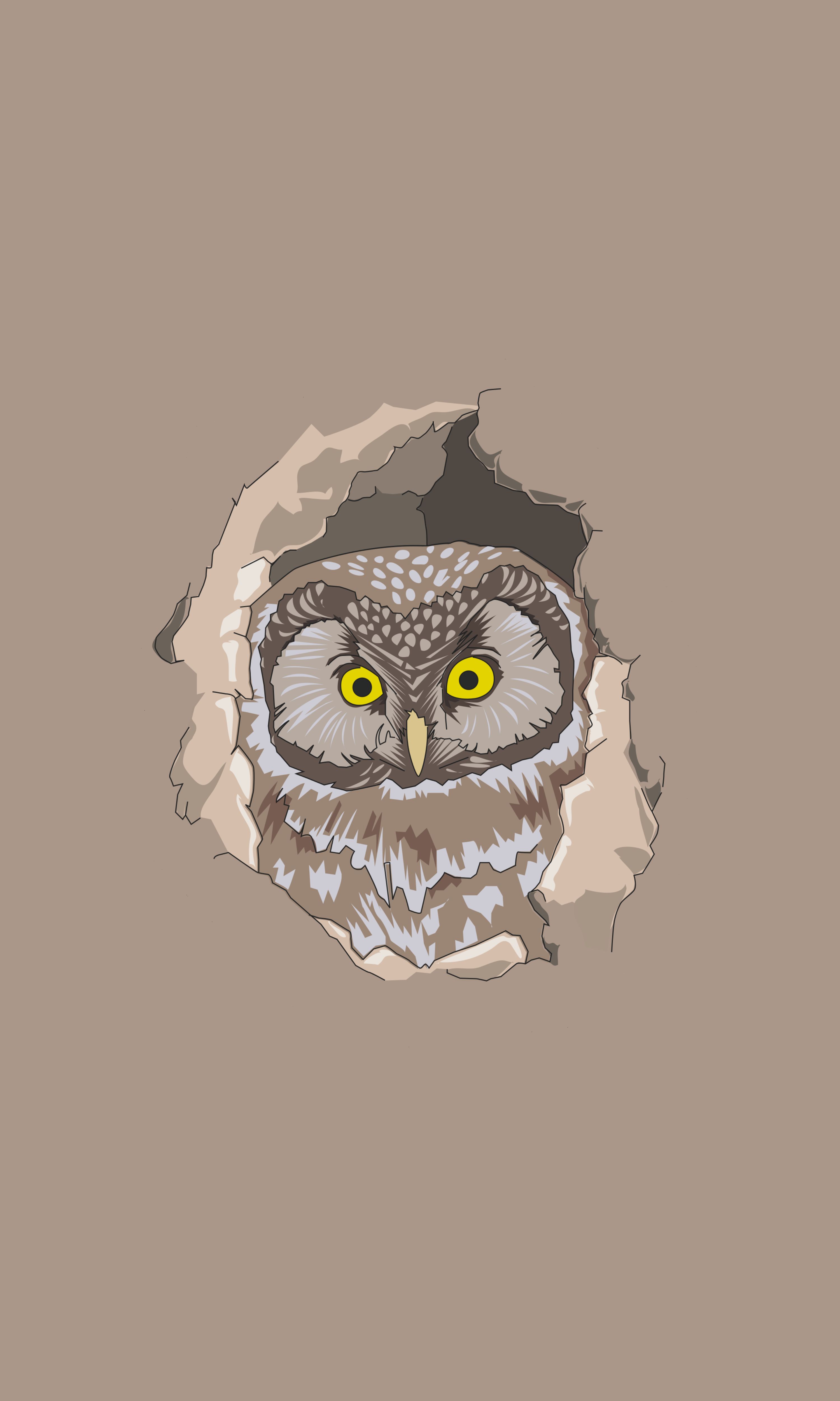owl, vector, art, peek out, look out