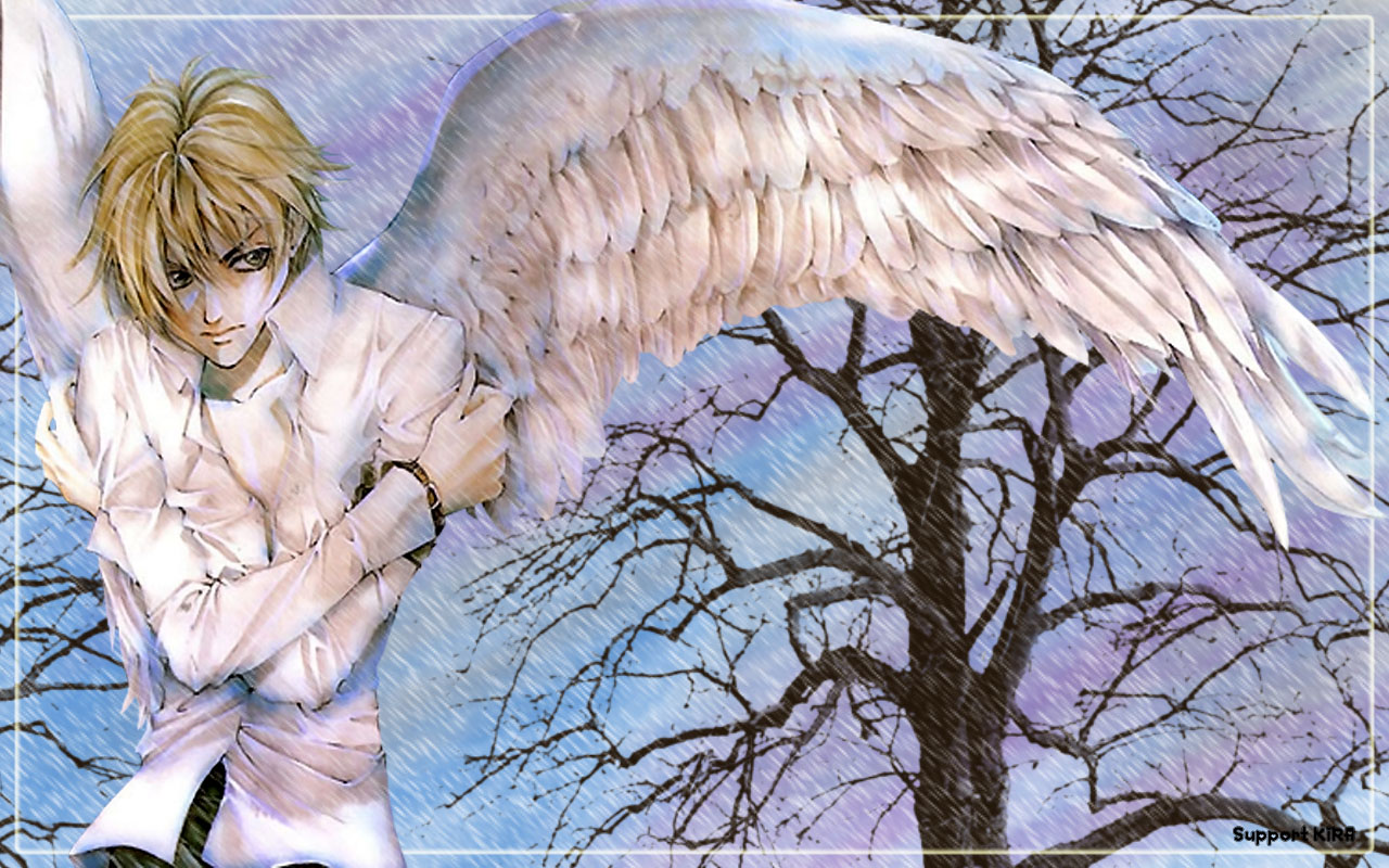 HD wallpaper Anime Angel Sanctuary  Wallpaper Flare