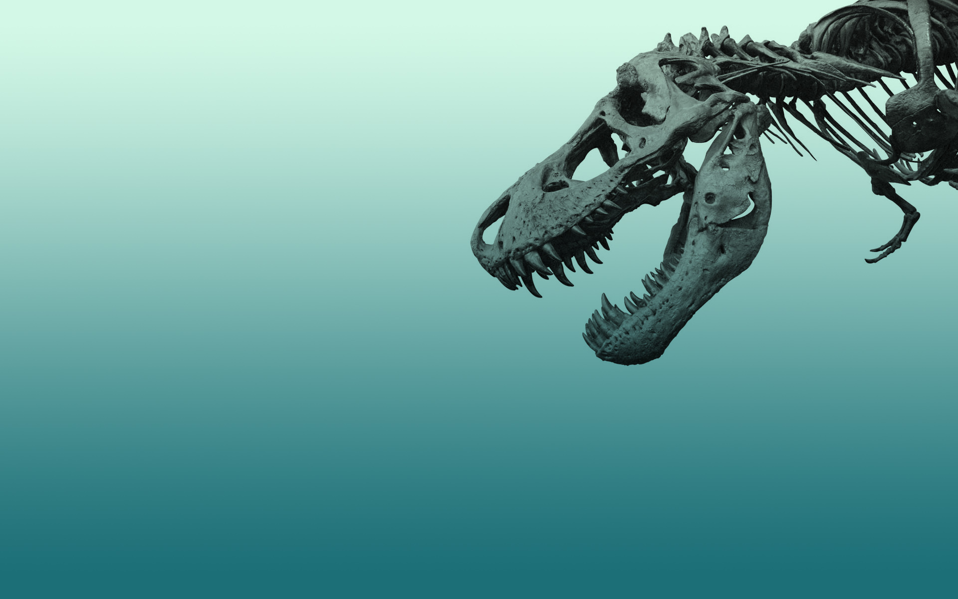 522319壁紙のダウンロード動物, ティラノサウルス・レックス, 恐竜-スクリーンセーバーと写真を無料で