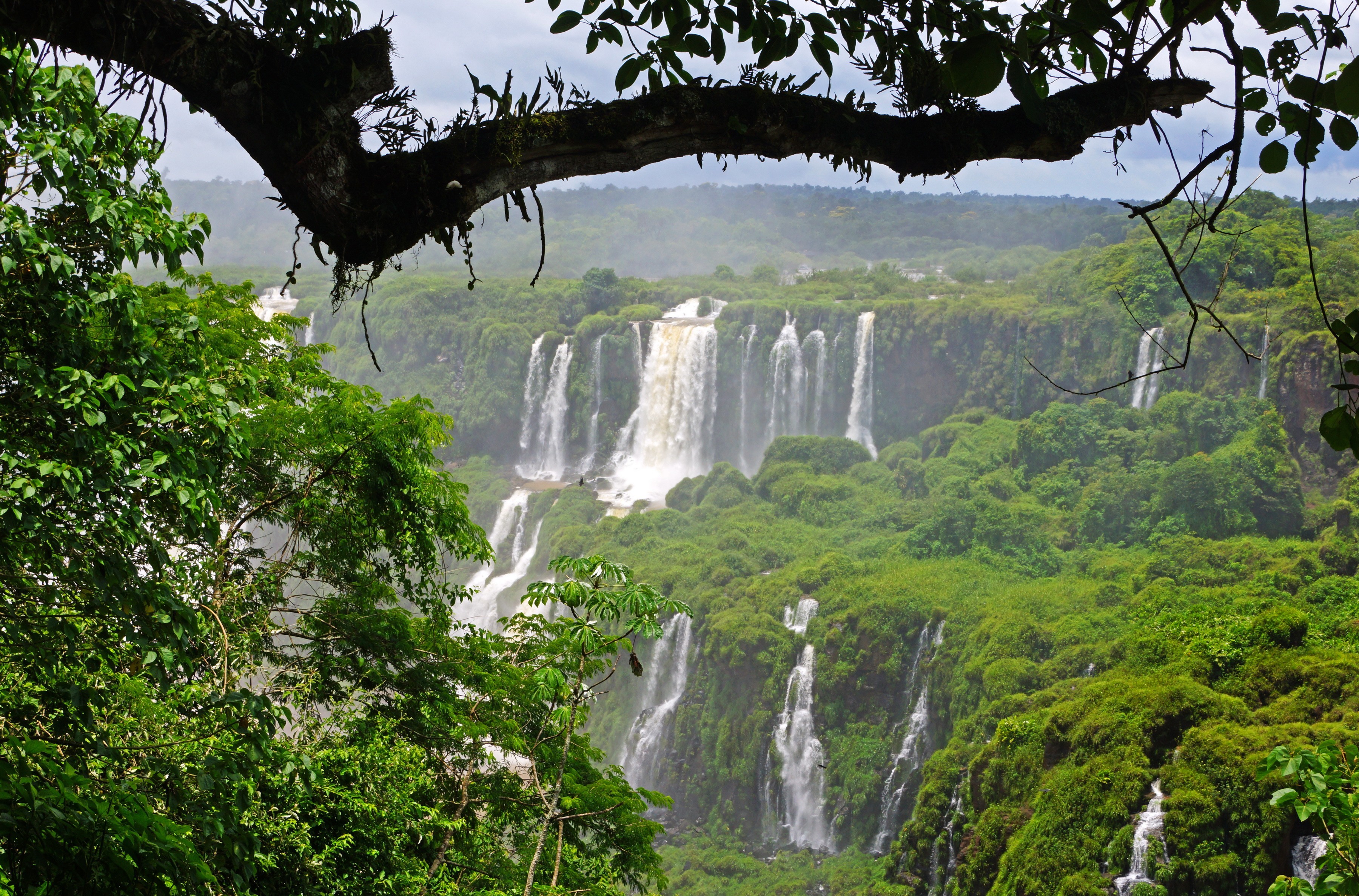 344649 скачать обои земля/природа, водопады игуасу, бразилия, водопад, водопады - заставки и картинки бесплатно