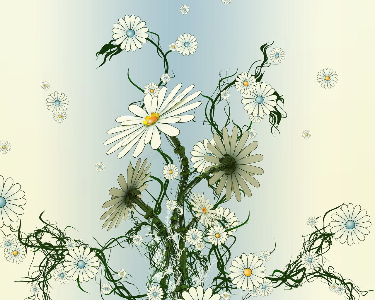 Download mobile wallpaper Plants, Camomile, Flowers, Pictures for free.