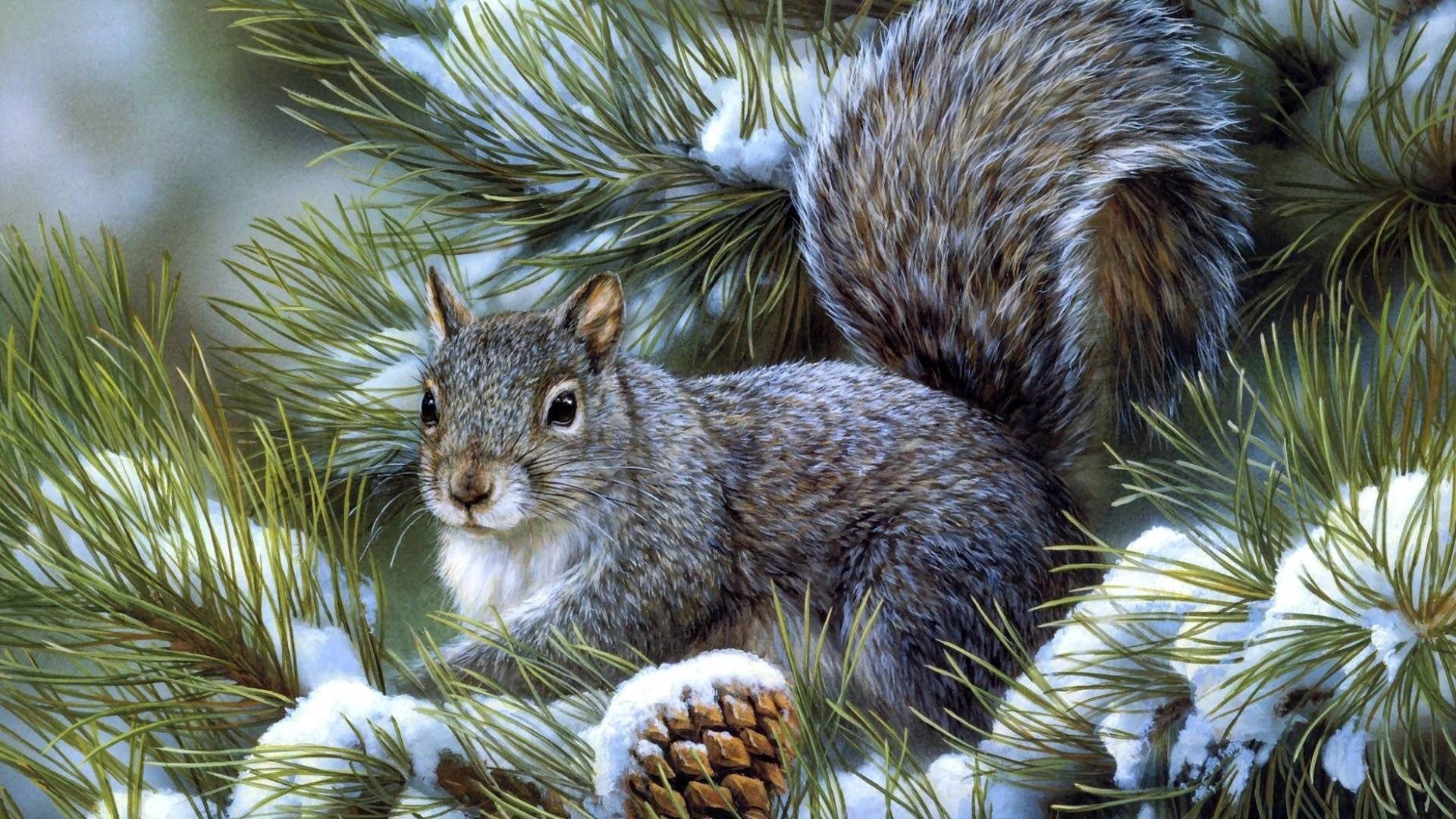Laden Sie das Eichhörnchen, Holz, Sitzen, Fichte, Fir, Baum, Tiere-Bild kostenlos auf Ihren PC-Desktop herunter