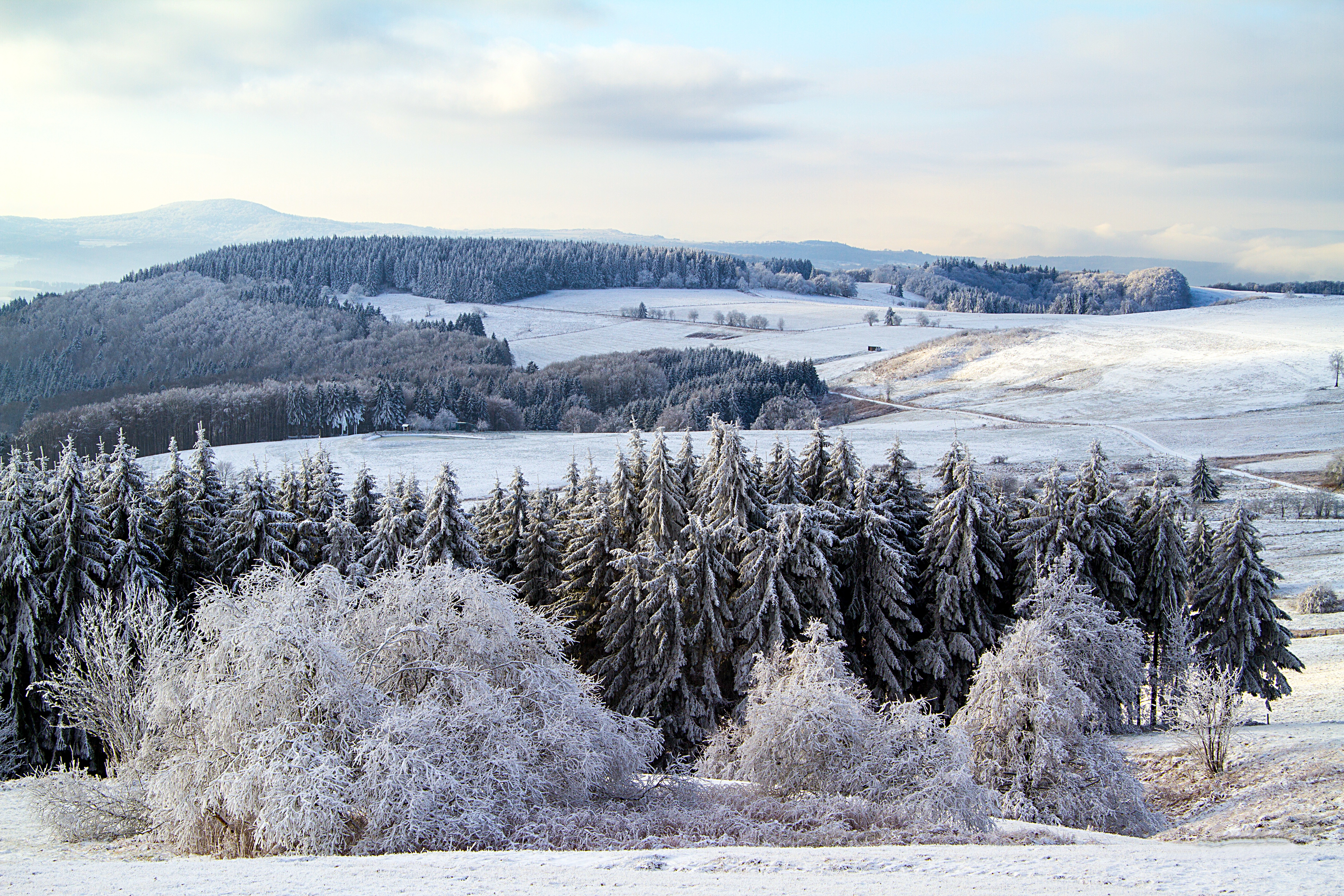 Laden Sie das Poppenhausen, Natur, Schnee, Wald, Deutschland-Bild kostenlos auf Ihren PC-Desktop herunter