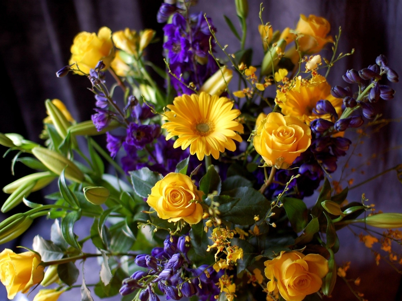 bouquets, plants, flowers cellphone