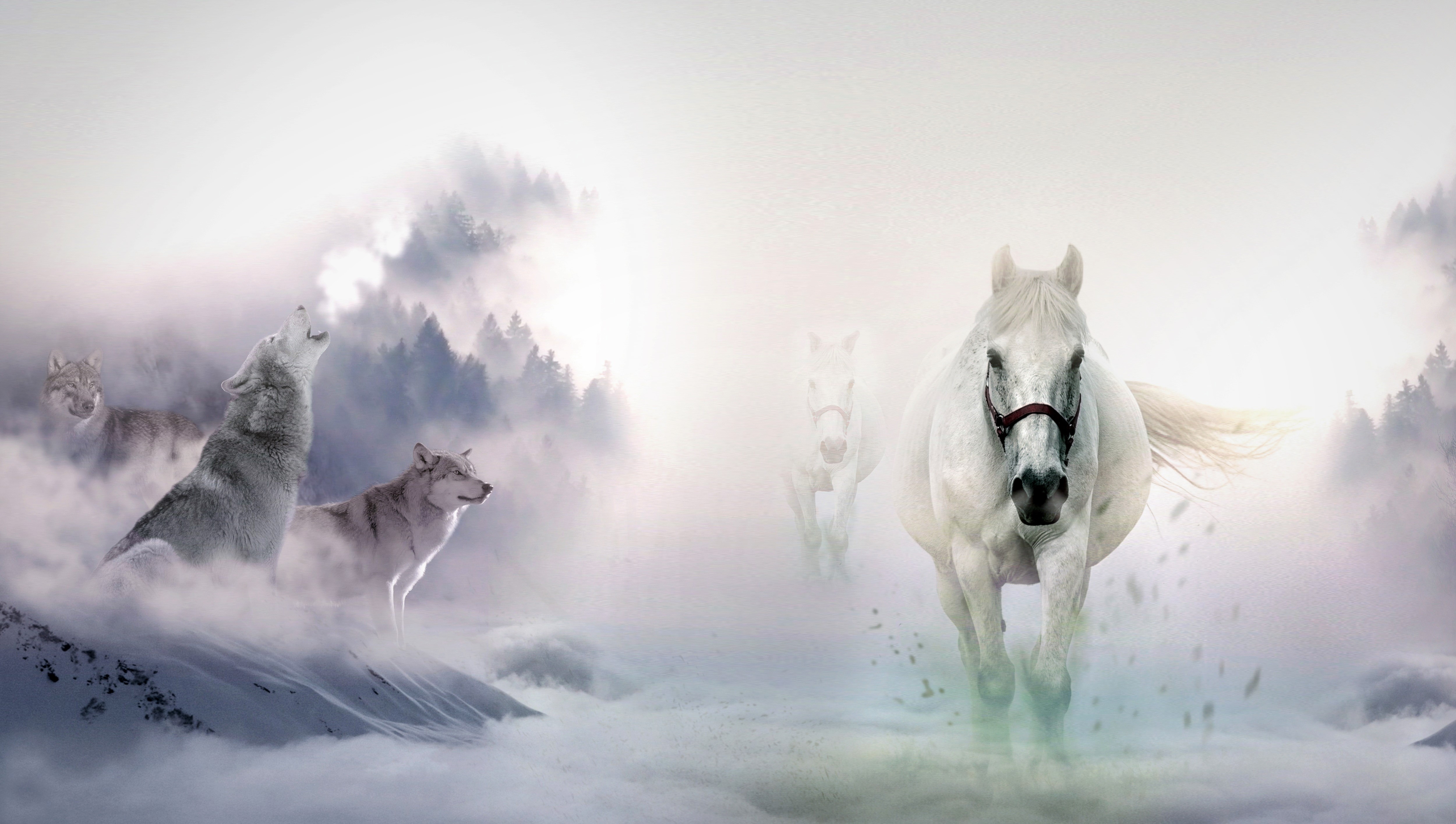Лошадь против волка