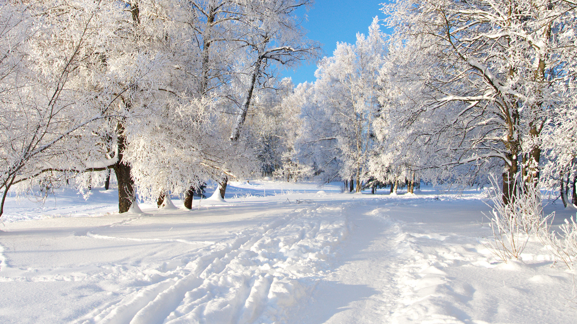 16795 Hintergrundbild herunterladen landschaft, winter, schnee, grau - Bildschirmschoner und Bilder kostenlos