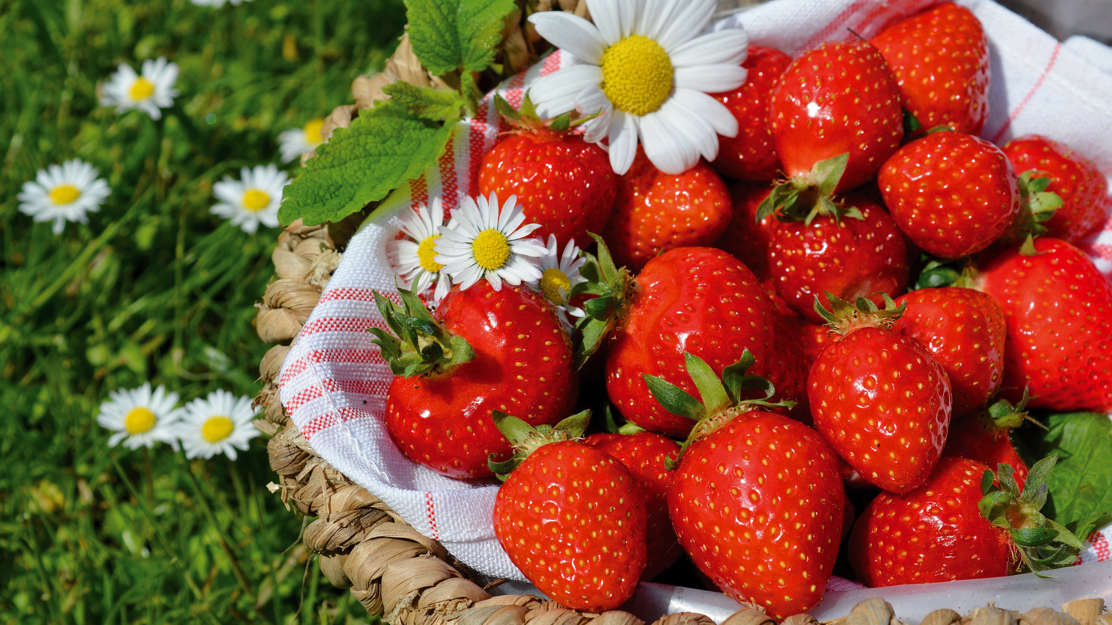 Download mobile wallpaper Fruits, Food, Strawberry, Berry, Chamomile for free.