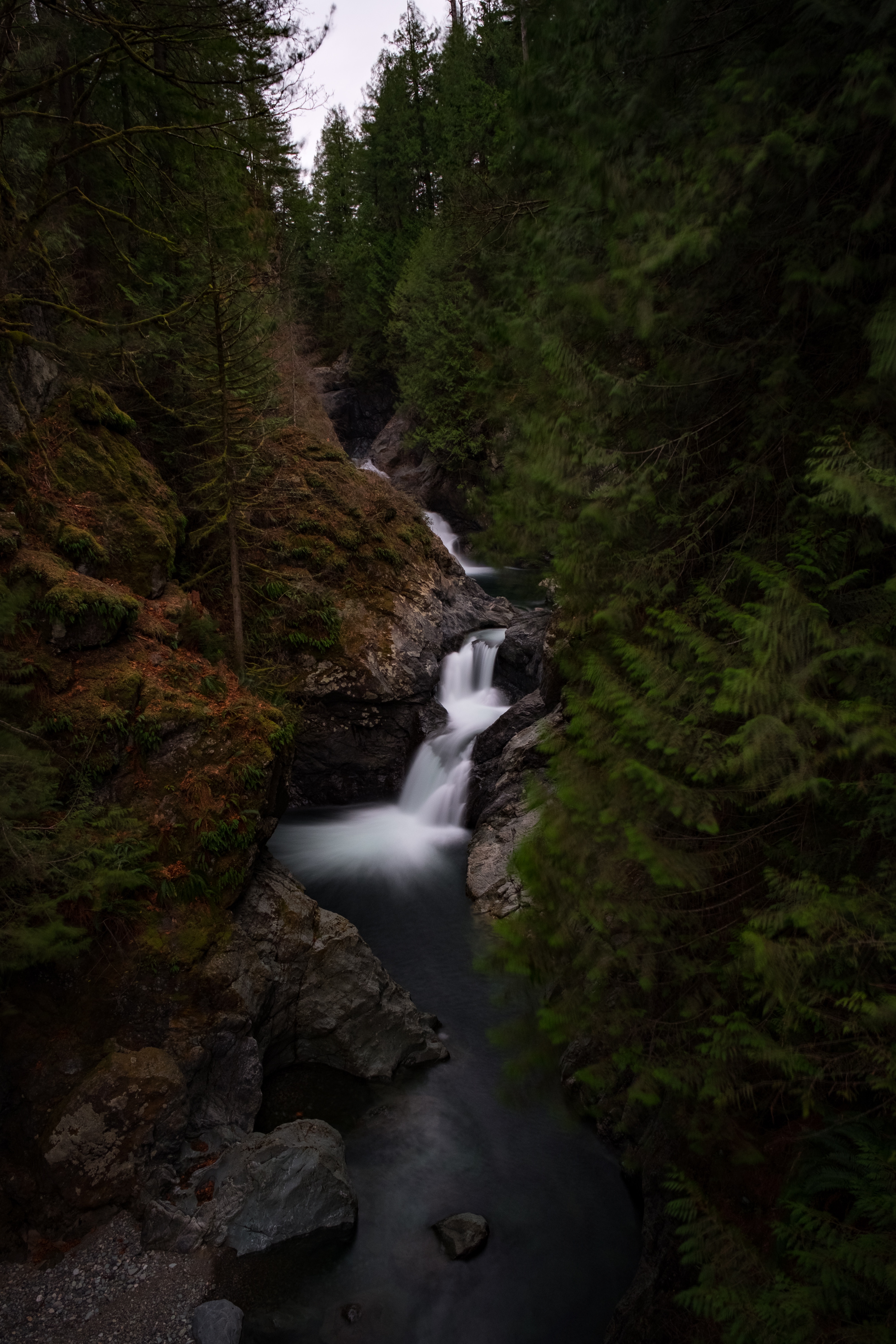Laden Sie das Fließen, Fluss, Natur, Bäume, Wasserfall, Wald, Flüsse-Bild kostenlos auf Ihren PC-Desktop herunter