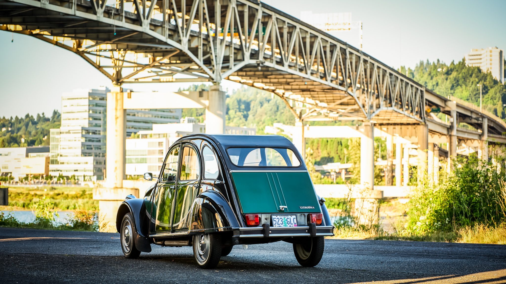 2cv разноцветная