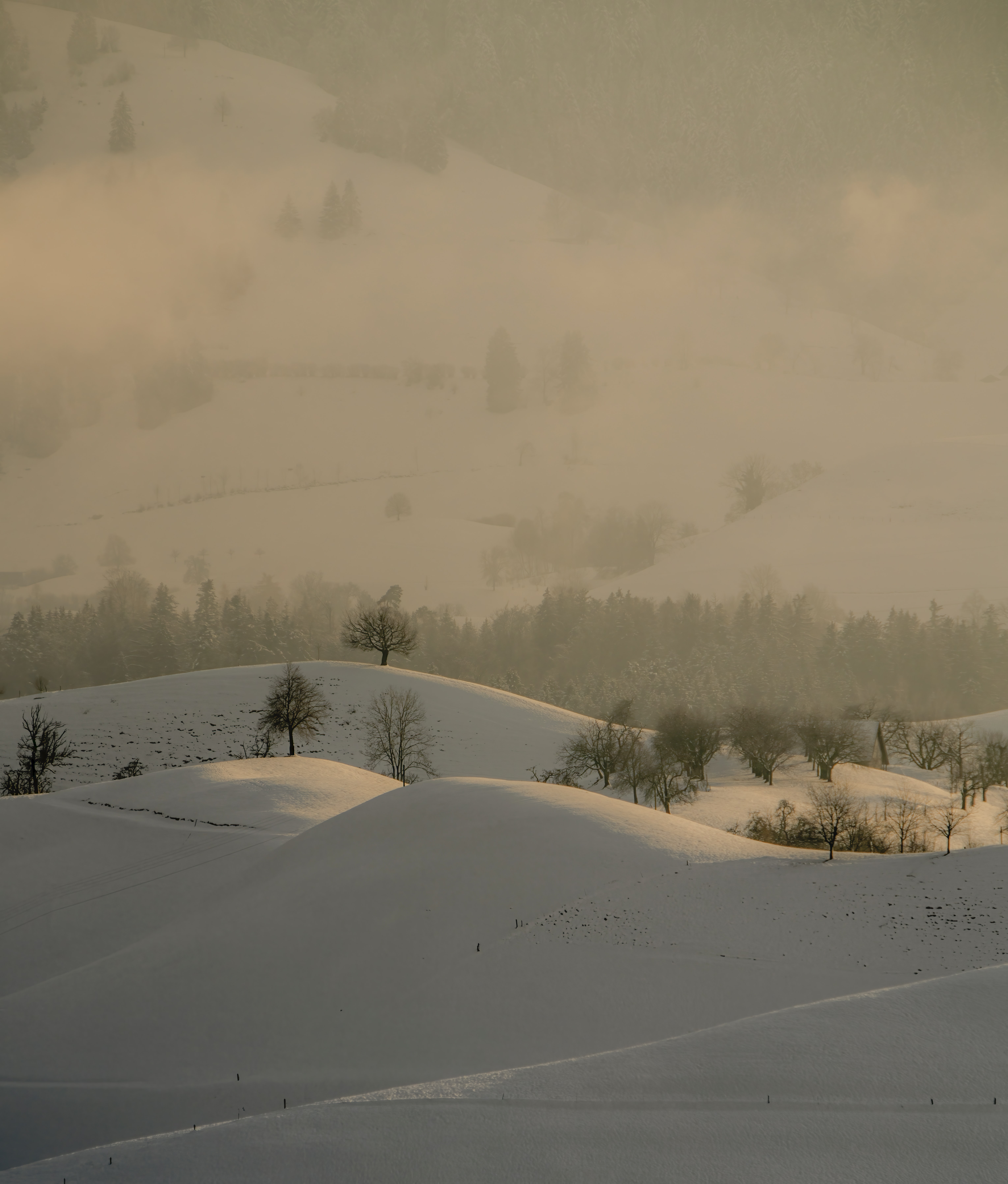 無料モバイル壁紙自然, 木, 雪, 丘, 冬, 風景をダウンロードします。