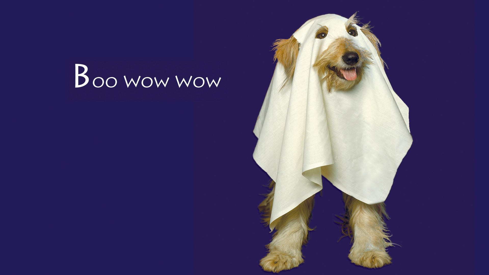 39296 Halloween Dog Images Stock Photos  Vectors  Shutterstock