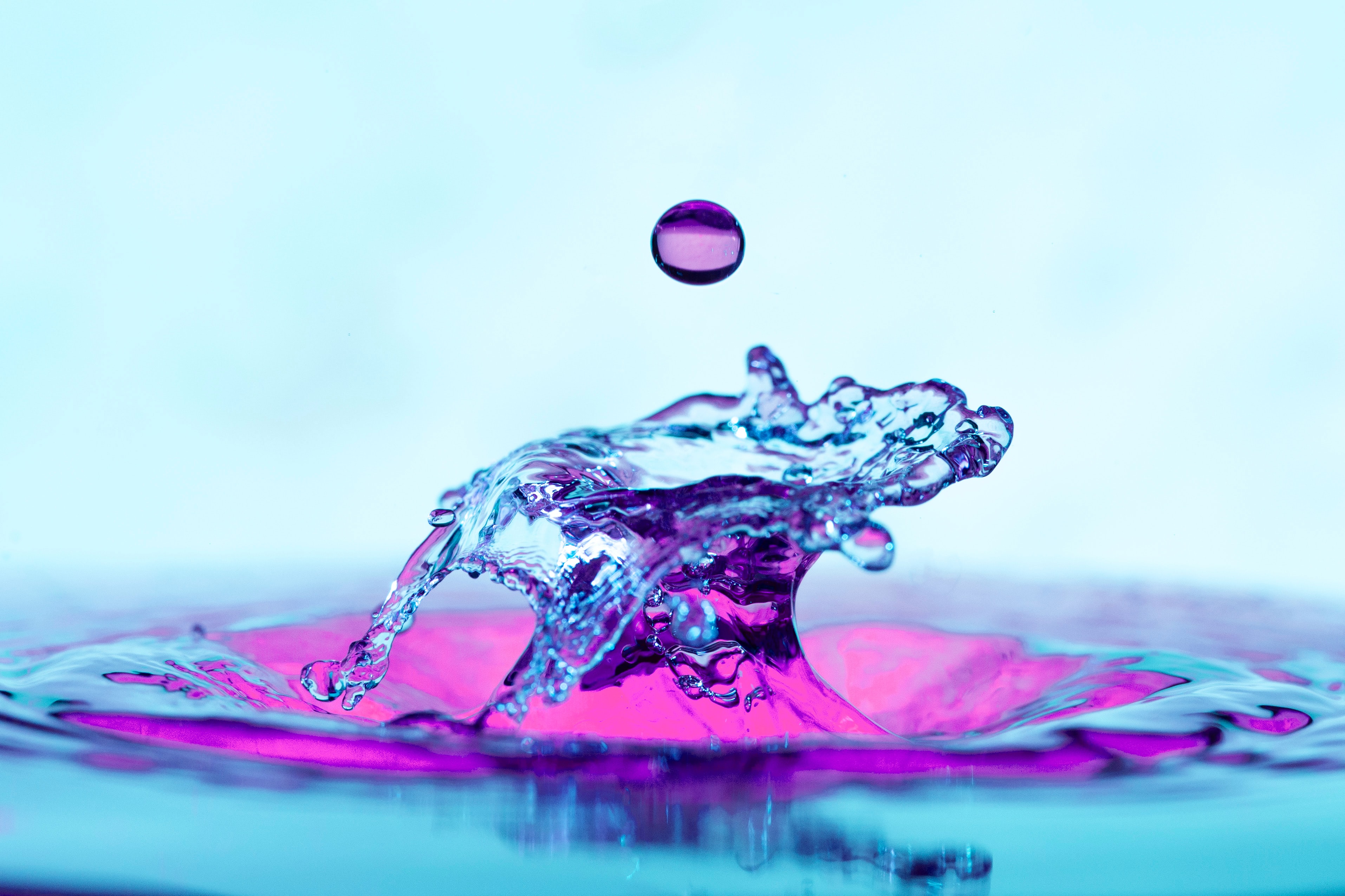 water, drop, purple, violet, macro, splash