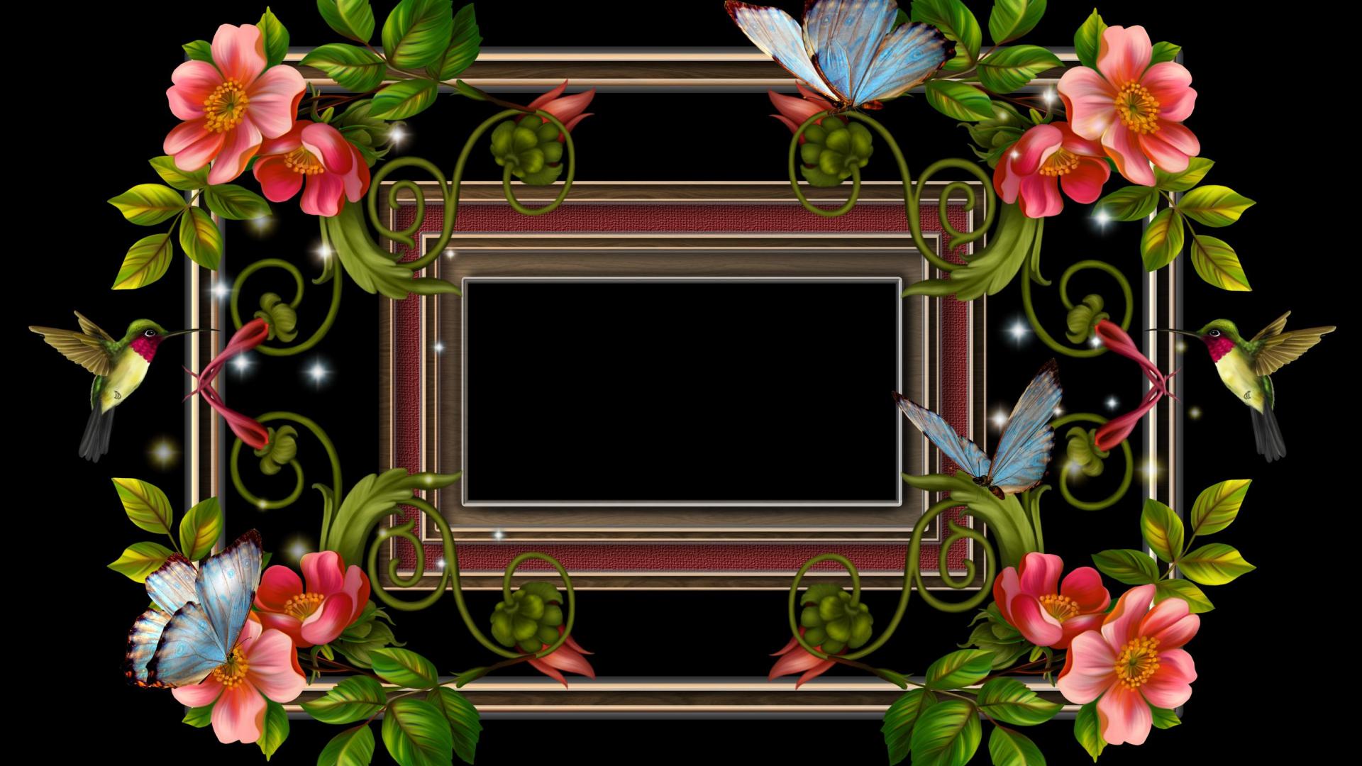 artistic, frame, bird, butterfly, colorful, flower, spring 4K Ultra