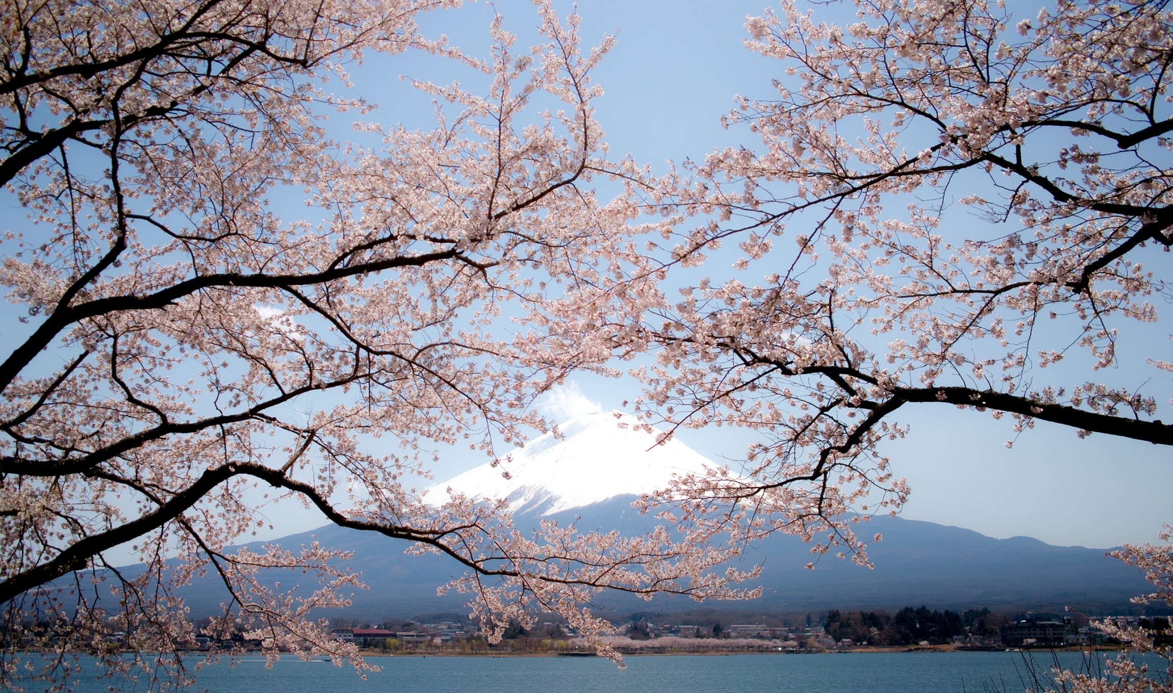 無料モバイル壁紙富士山, 日本, 火山, さくら, 春, 地球をダウンロードします。