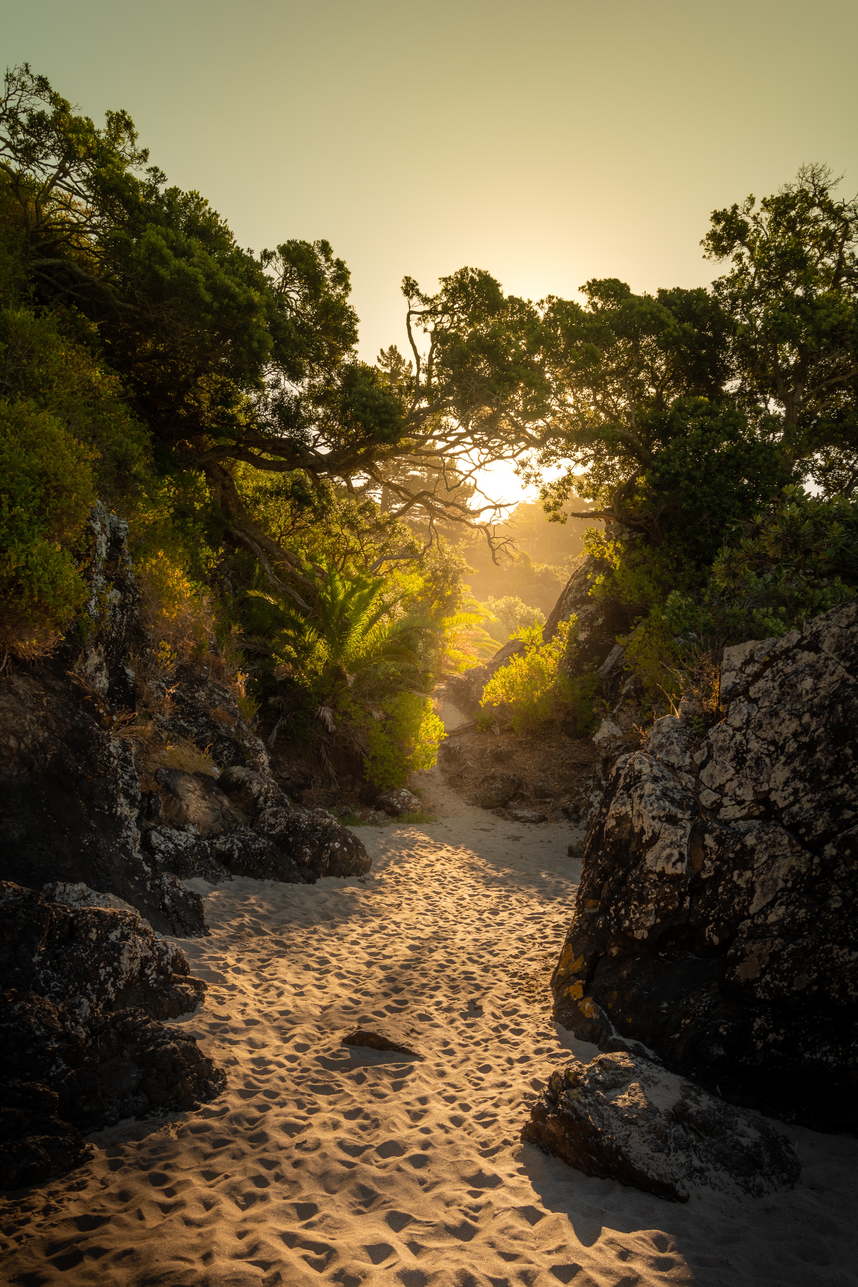 island, rocks, trees, nature, sand, sunlight 1080p