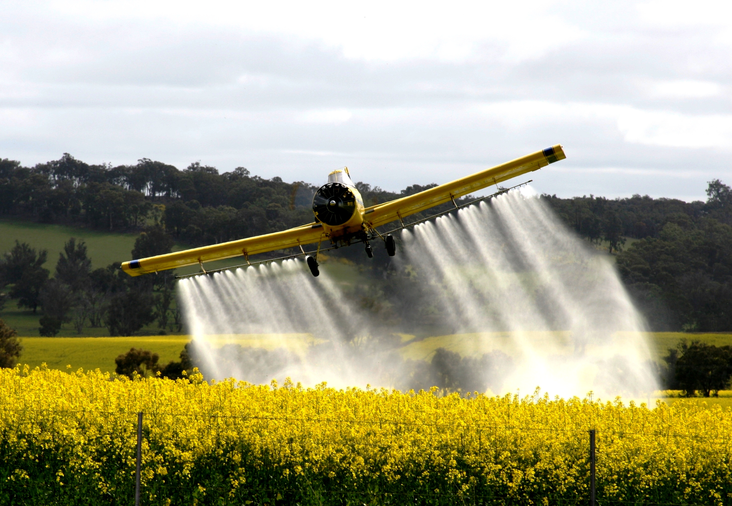 Обработка полей пестицидами. Сельскохозяйственный самолет. Сельскохозяственный самолёт. Распыление удобрений с самолетов. Самолет для полива полей.