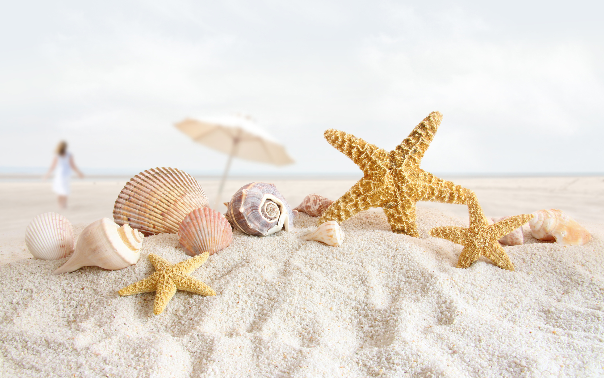 Free download wallpaper Sand, Summer, Starfish, Holiday, Shell, Photography on your PC desktop
