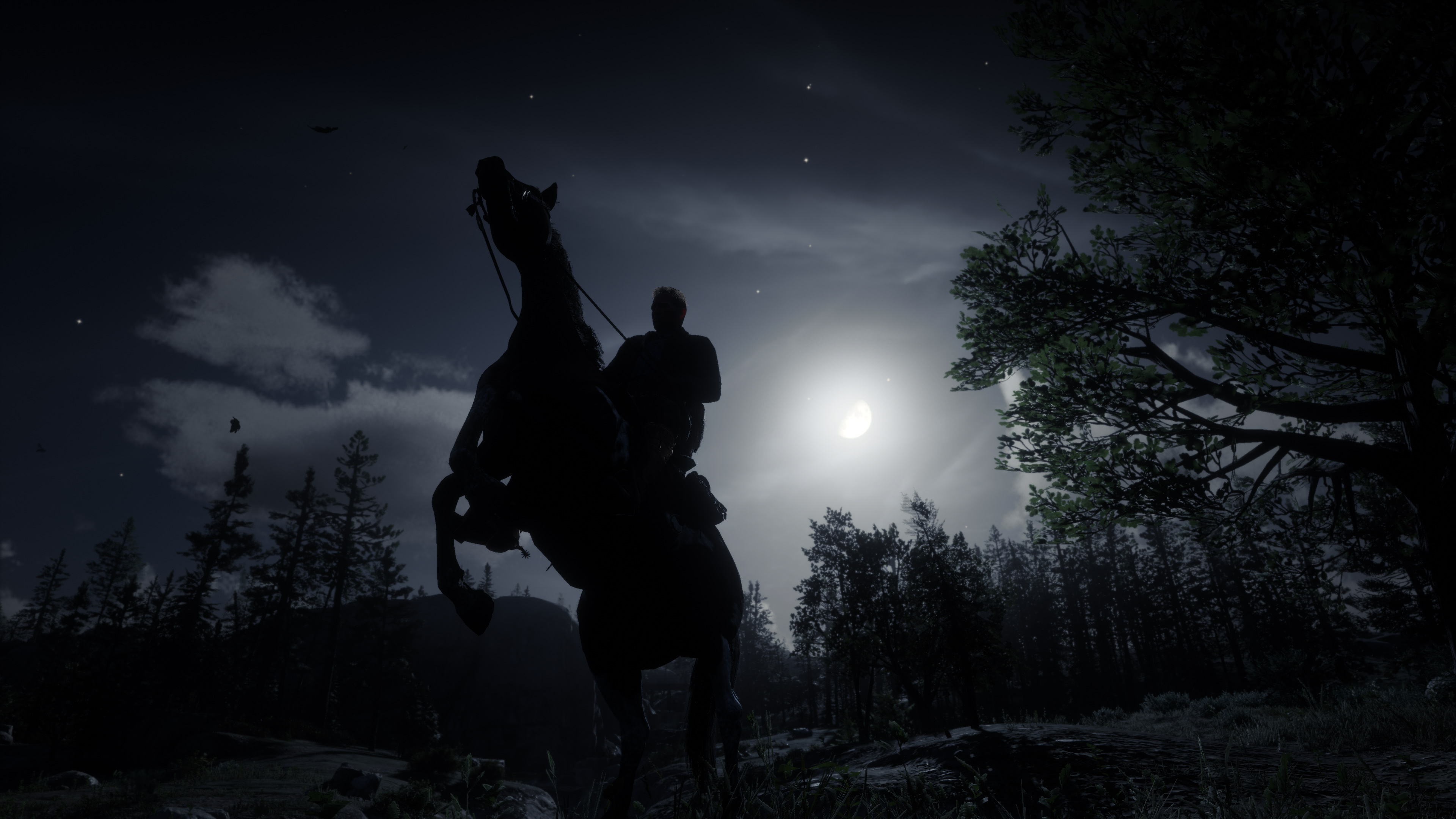 Download Nighttime Red Dead Redemption Ii Phone Wallpaper