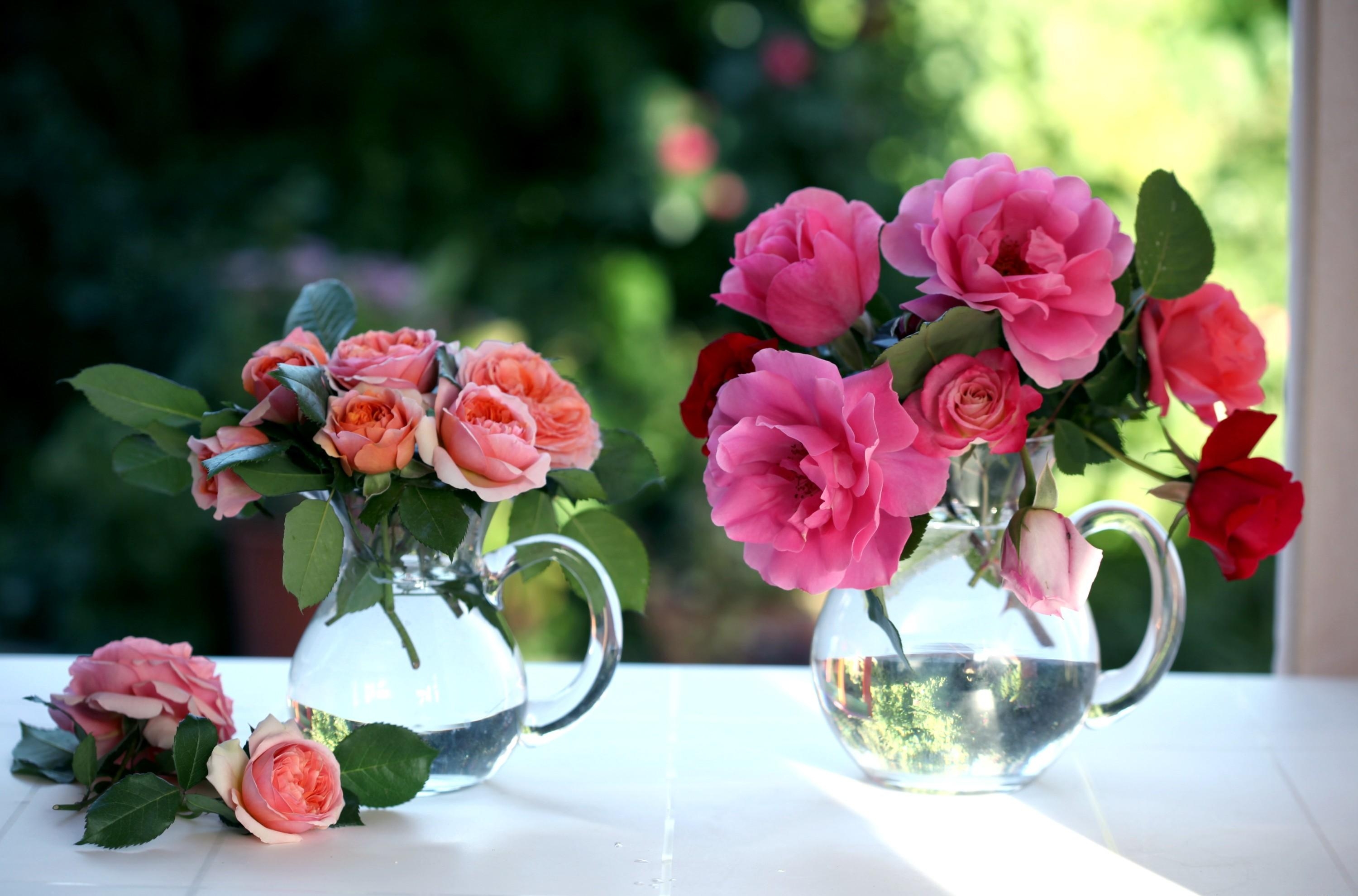 Mobile wallpaper jugs, window, roses, flowers, bouquets