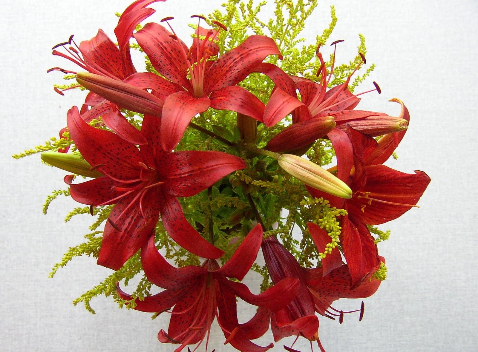 bouquet, flowers, lilies, close up, stamens High Definition image