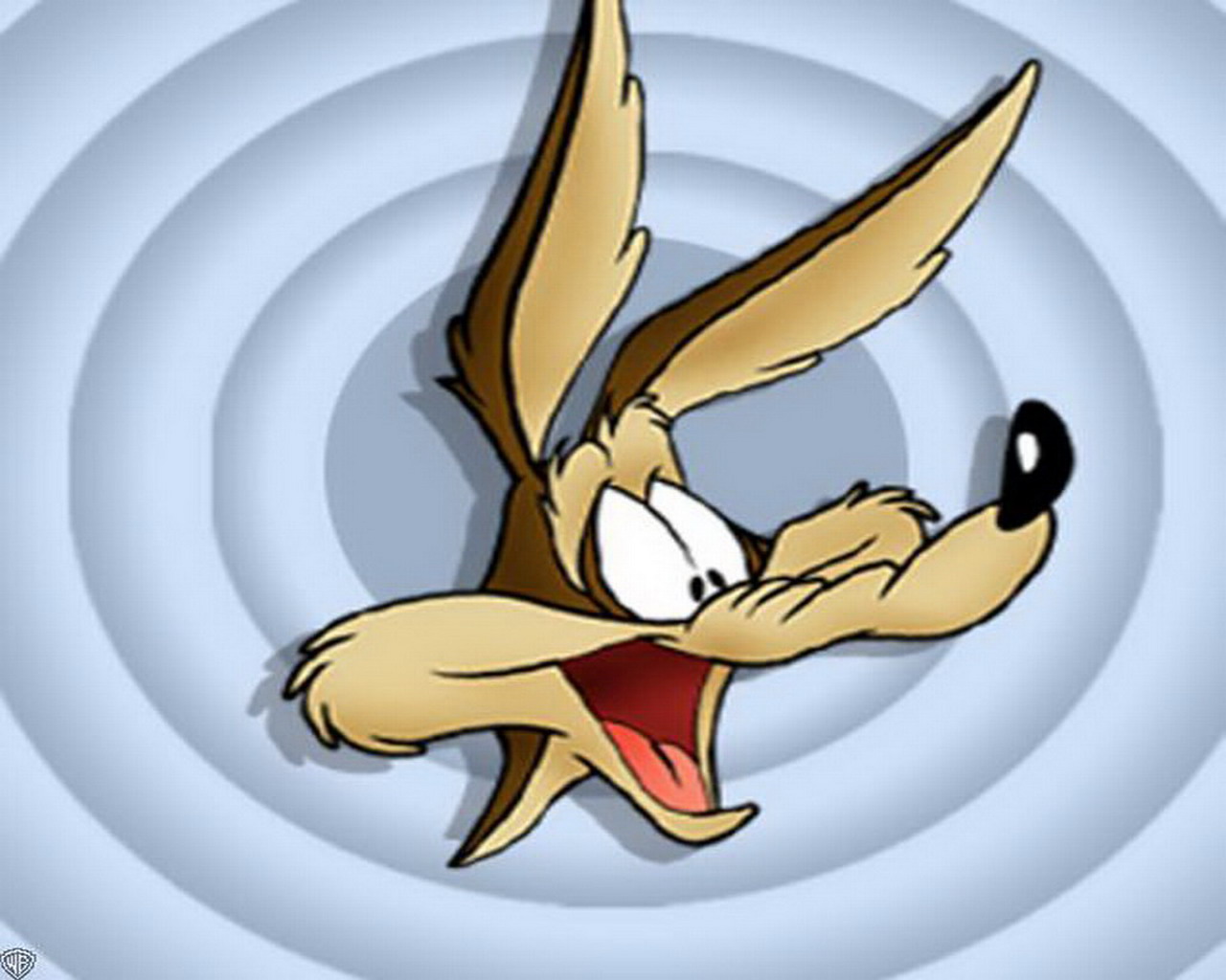 tv show, coyote, looney tunes 1080p
