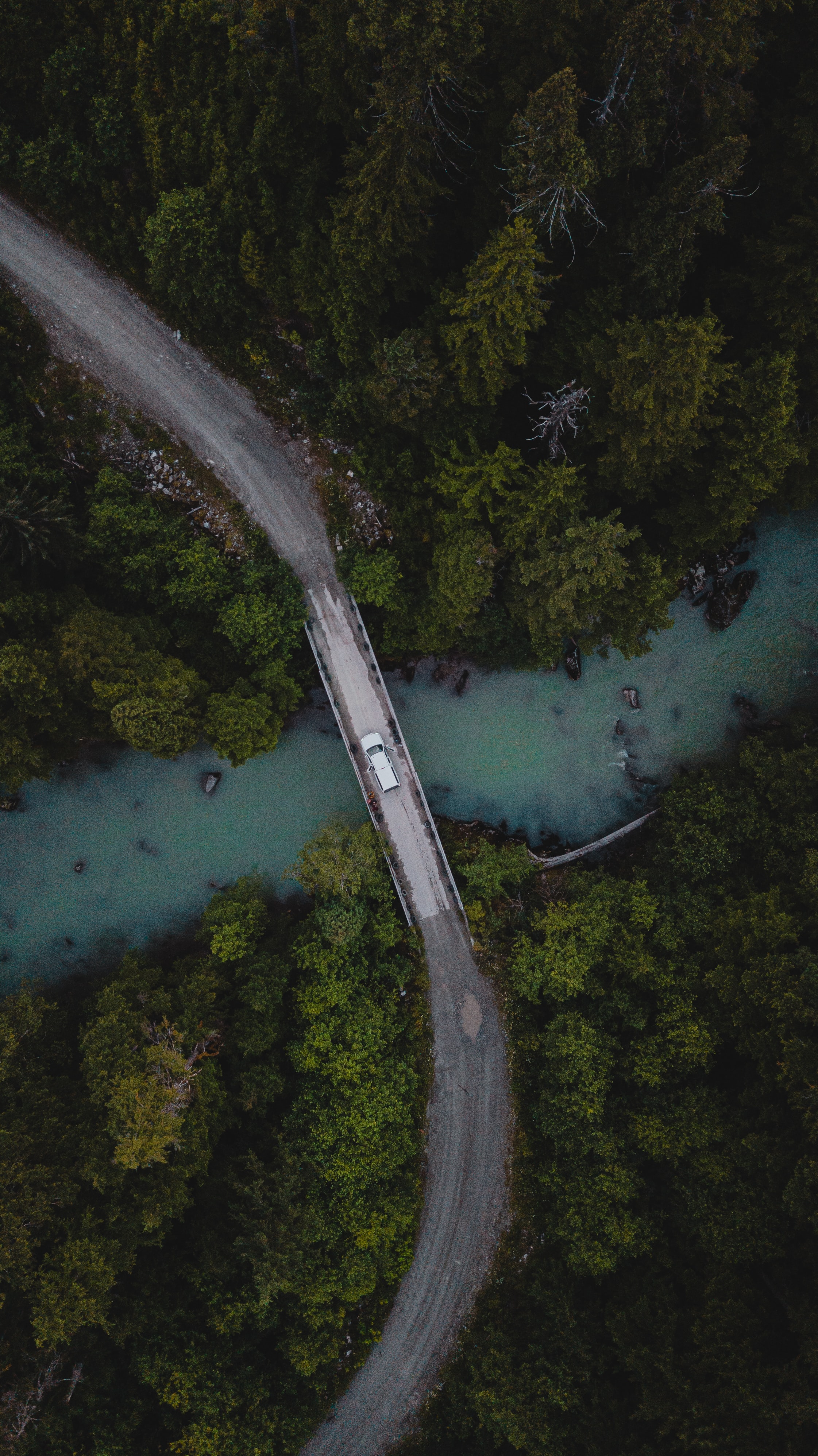 rivers, nature, trees, view from above, forest, car, machine, bridge Free Background
