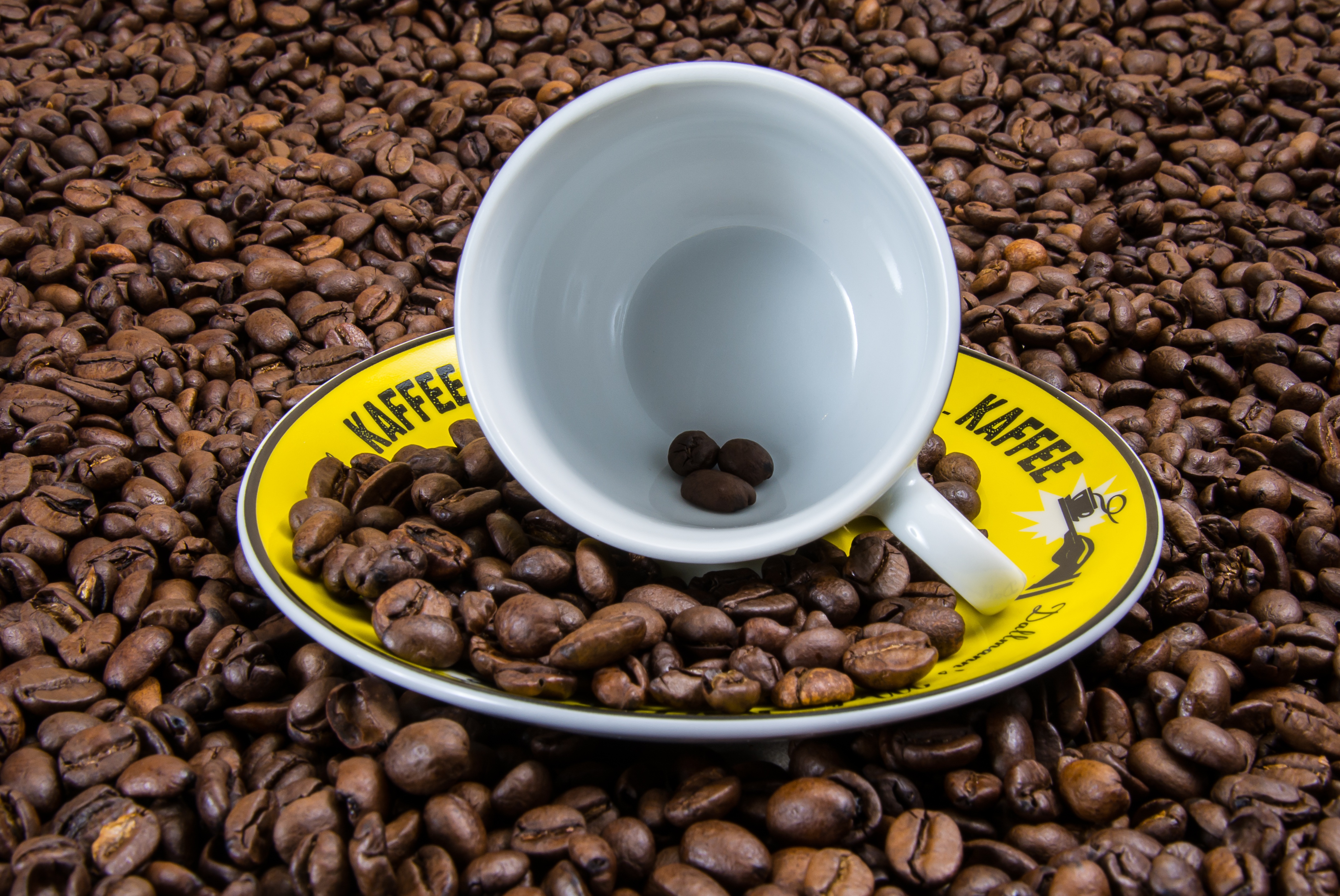 55284 скачать картинку кофейные зерна, чашка, кофе, еда - обои и заставки бесплатно