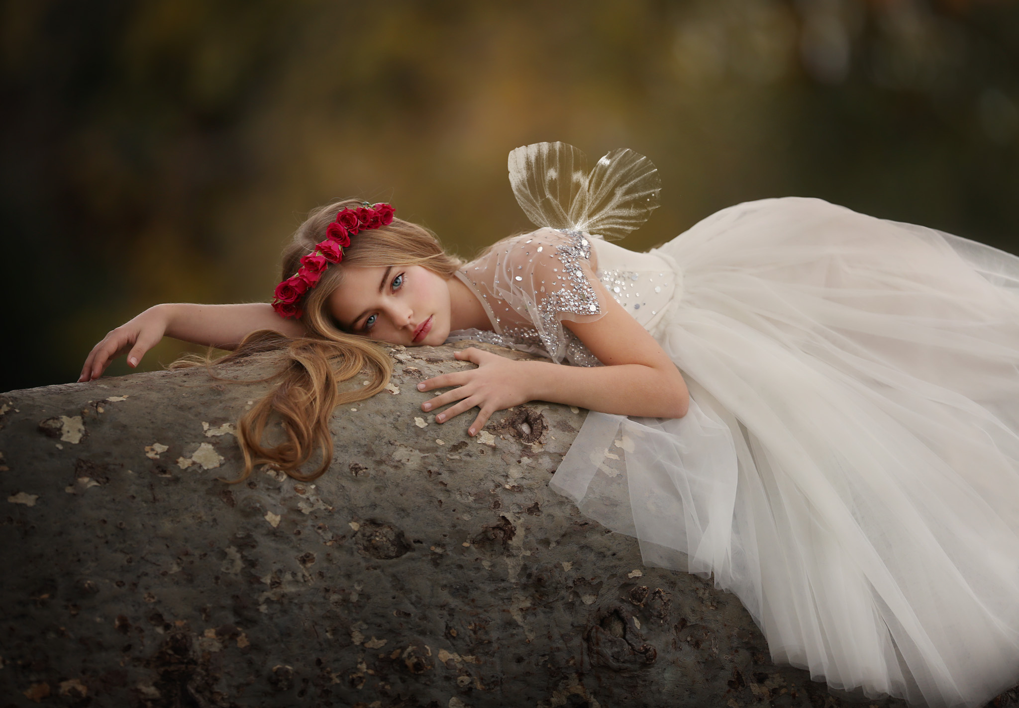 child, photography, hair, red rose, rose, white dress, wings, wreath