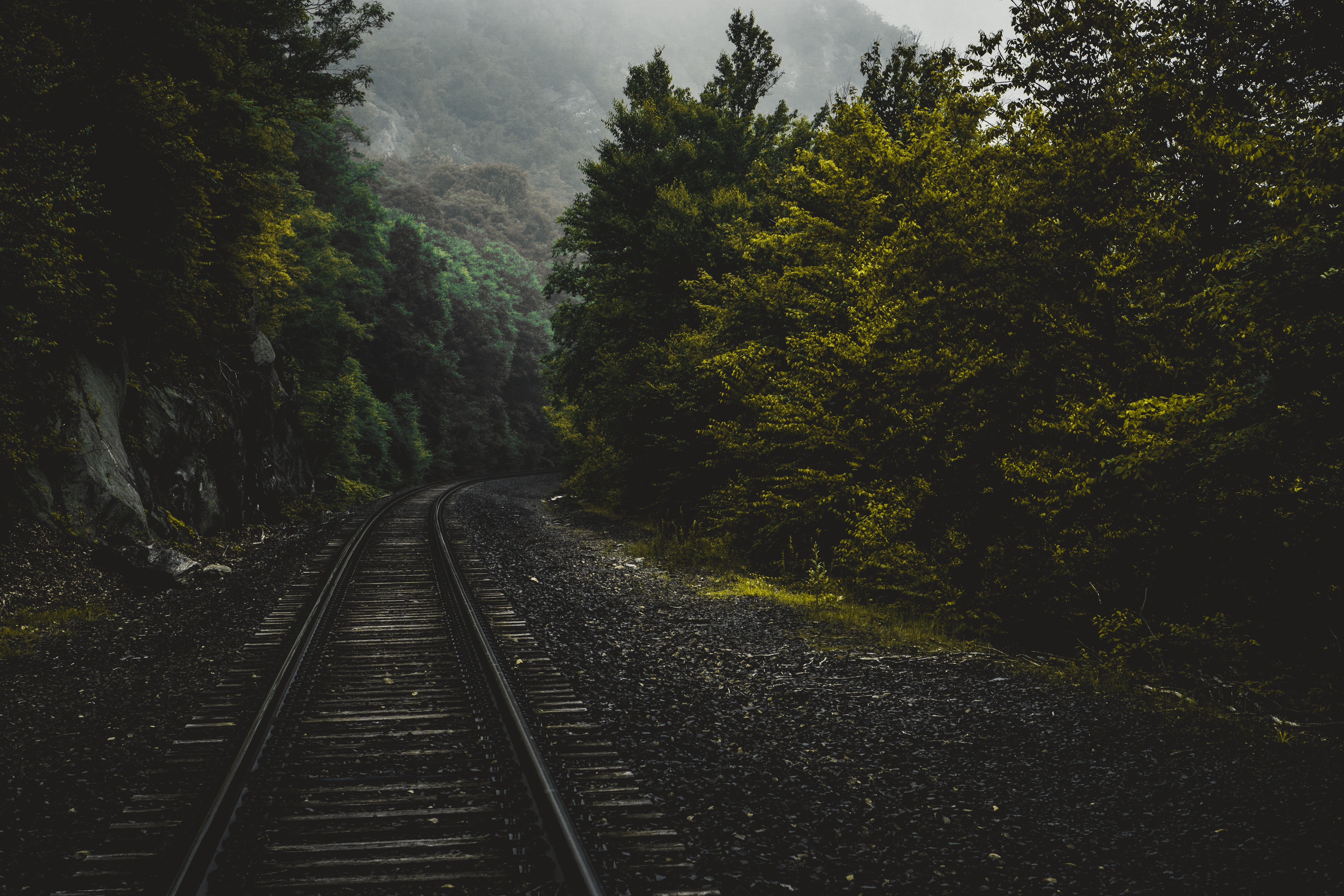trees, united states, railway, forest, nature, usa, connecticut 2160p