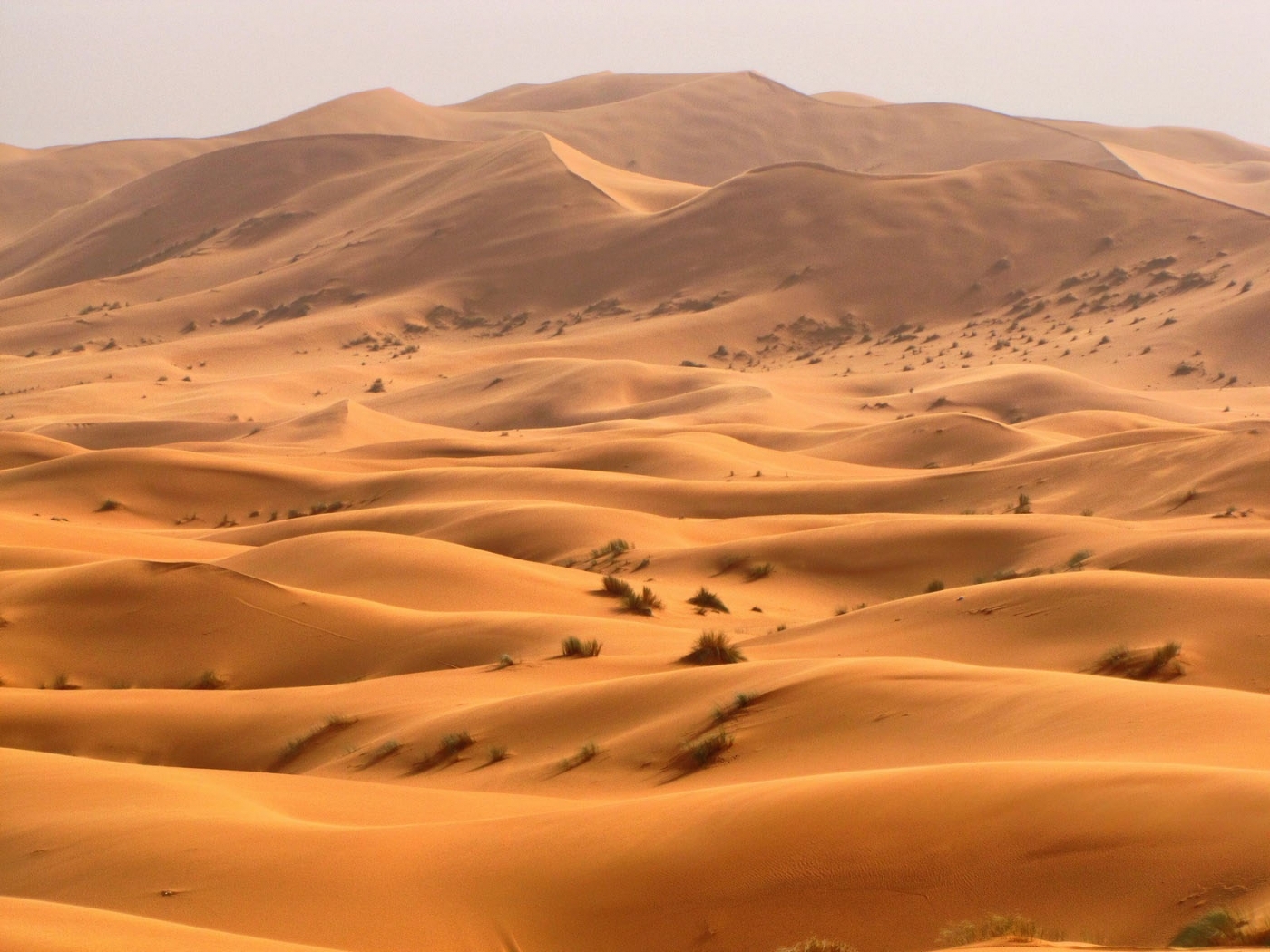 免费下载景观, 沙漠手机壁纸。