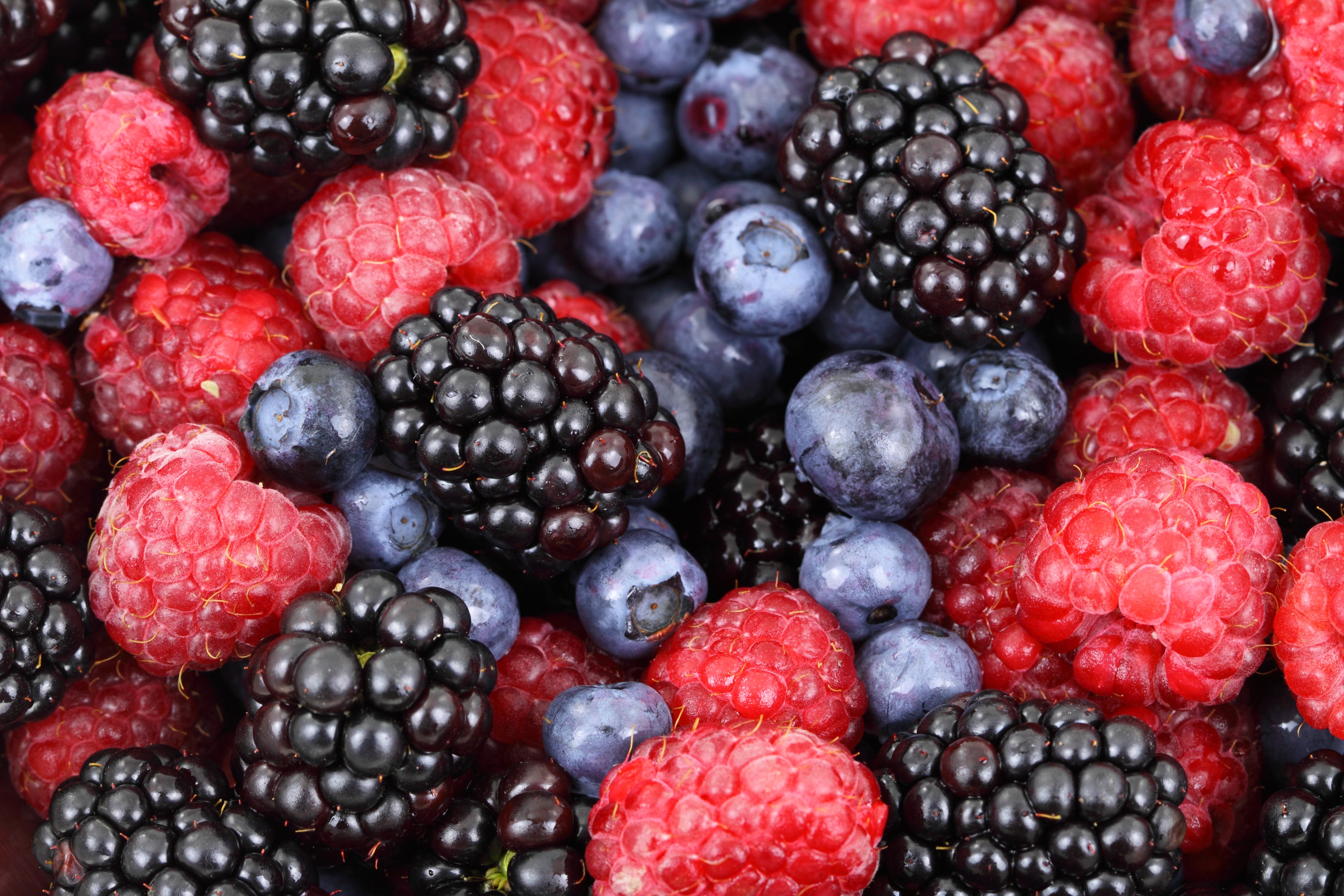 bilberries, berries, food, raspberry, blackberry High Definition image