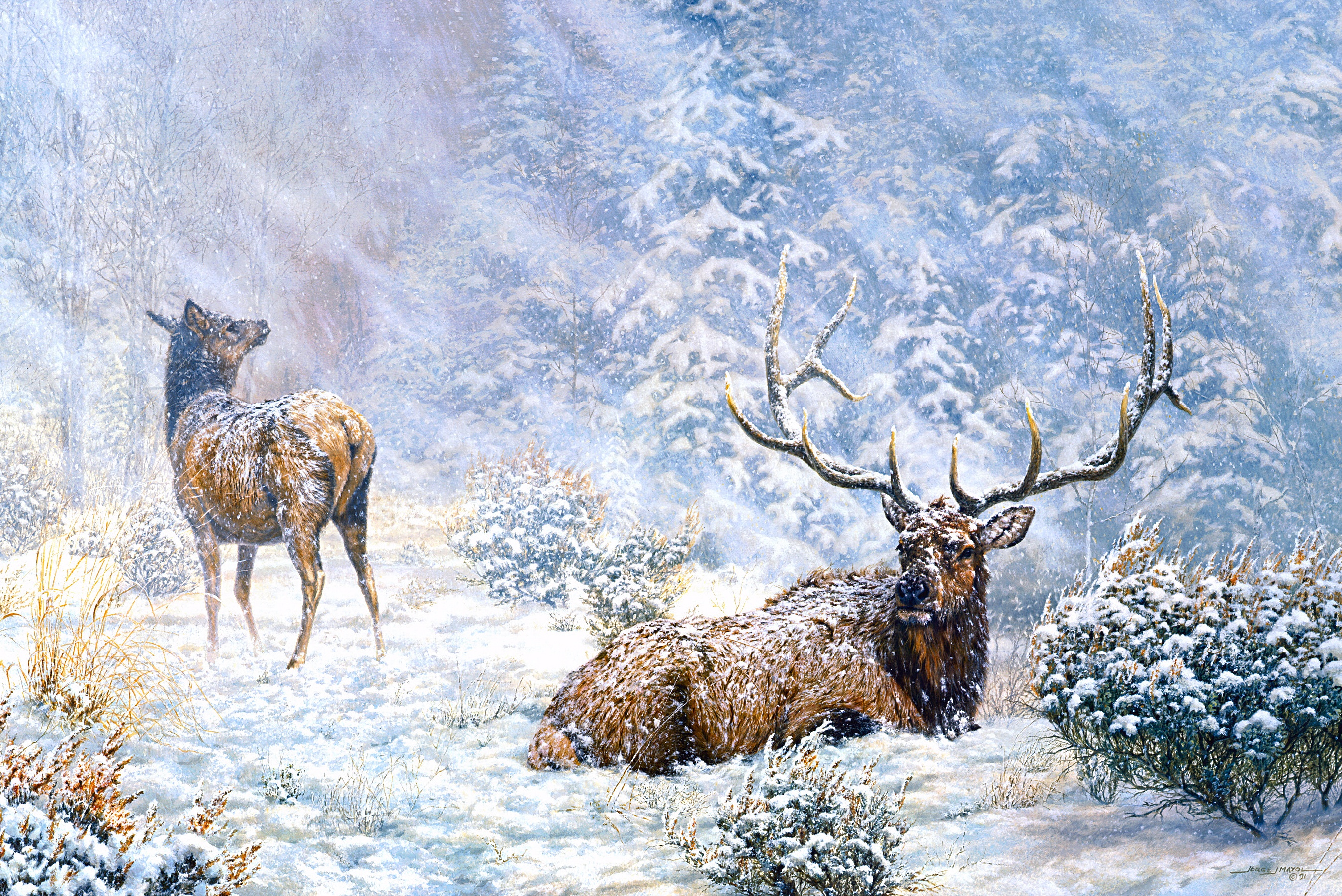 Зимний пейзаж с оленем