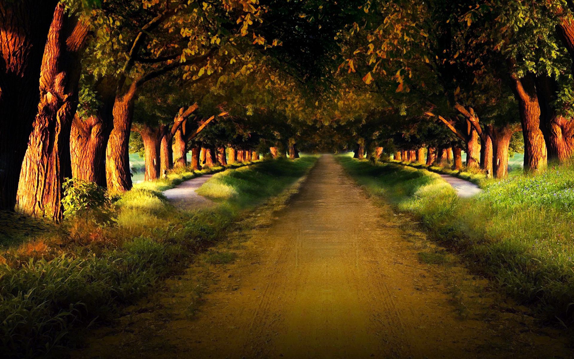 mysterious, nature, road, alley, path, garden, trail, rows, ranks