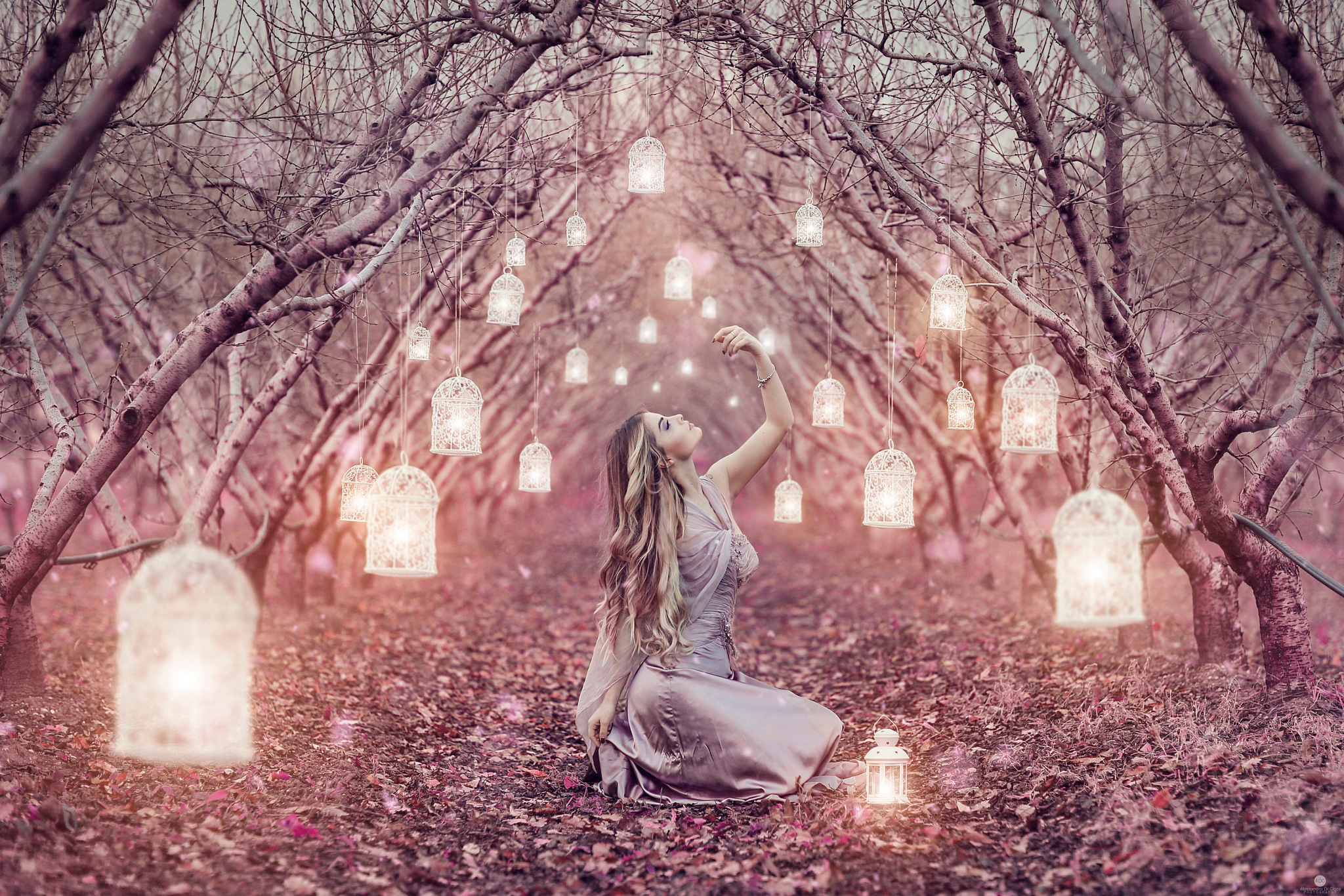 Было просто волшебно. Волшебная фотосессия. Фотосессия с фонарем в лесу. Девушка в волшебном лесу. Красивое волшебство.